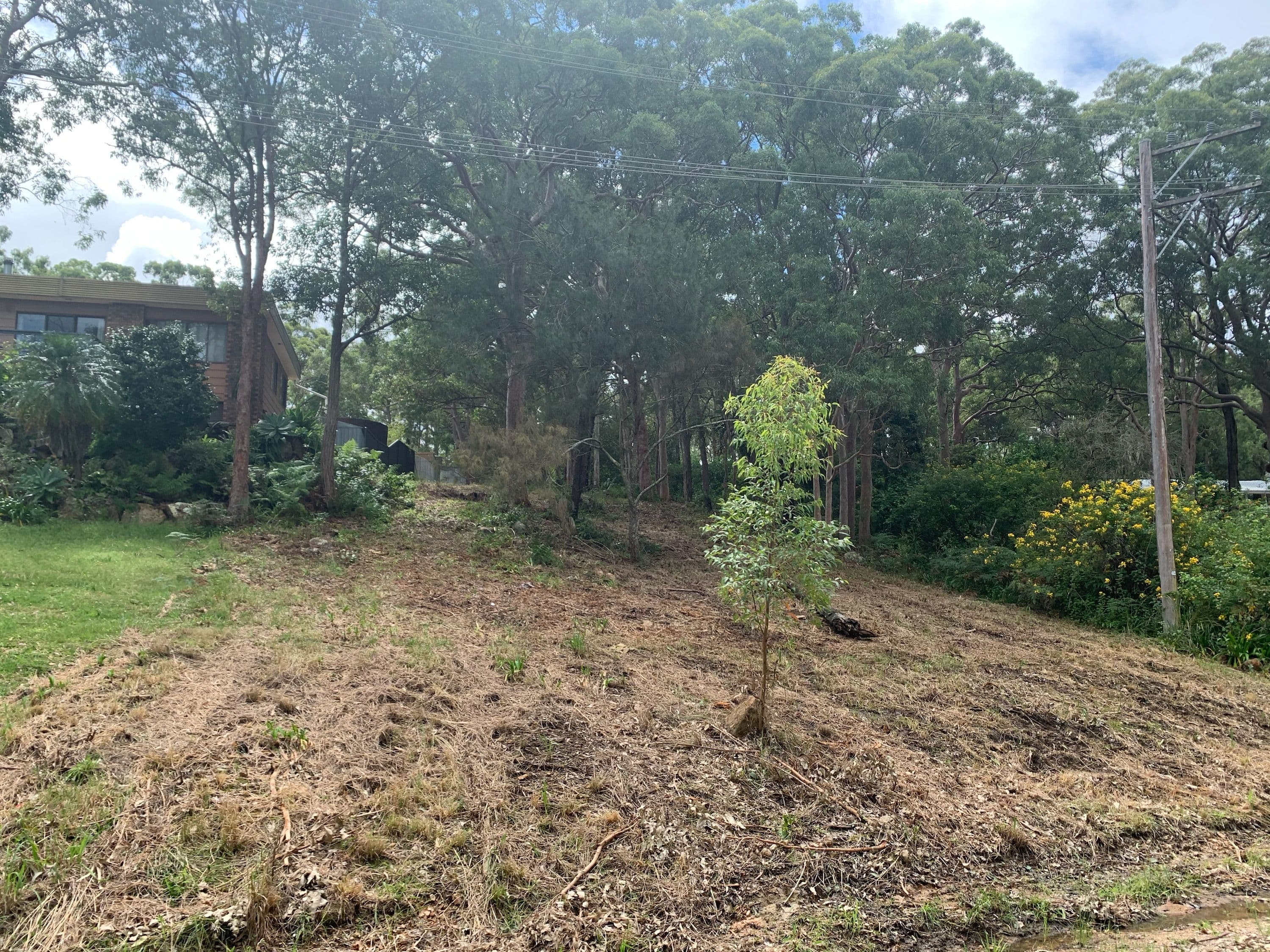 30 Promontory Way, North Arm Cove NSW 2324, North Arm Cove - Thumbnail 3