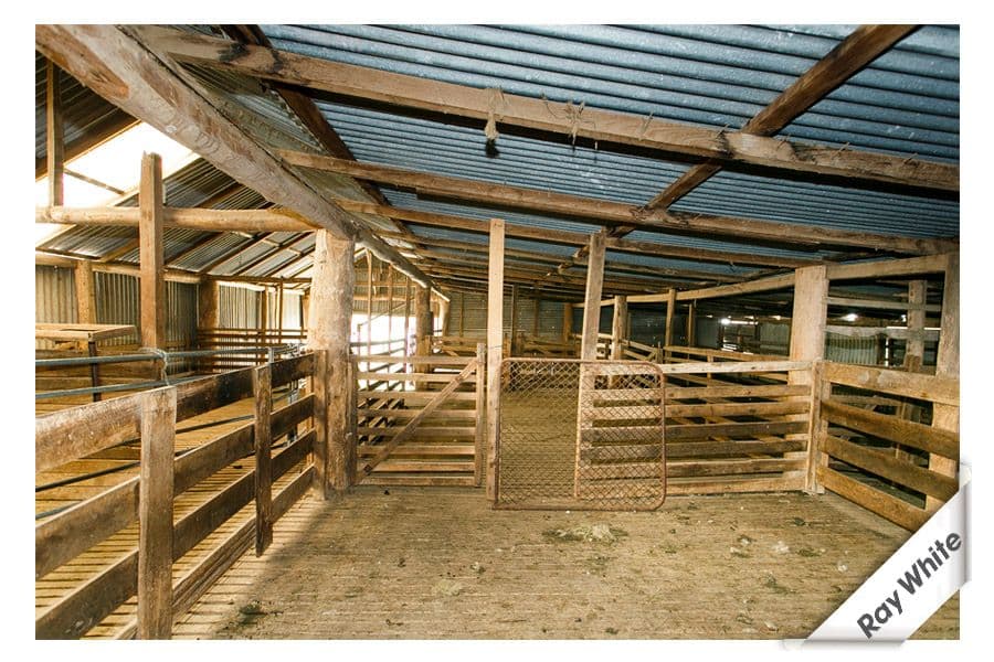 496 Wallaroo Road, Wallaroo - Thumbnail 4