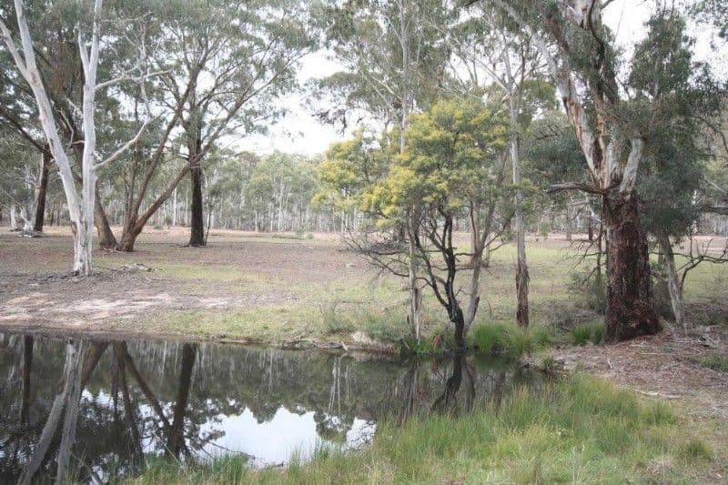 WISEMANS CREEK NSW 2795, Wisemans Creek - Thumbnail 2