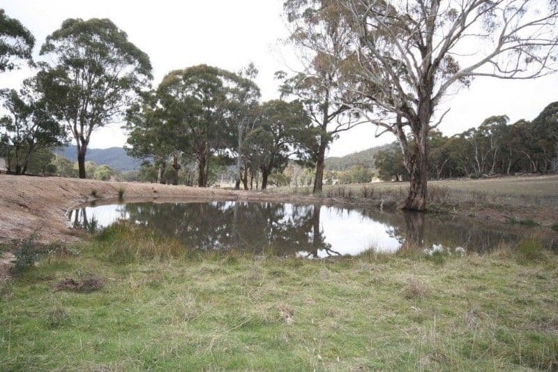 WISEMANS CREEK NSW 2795, Wisemans Creek - Thumbnail 4