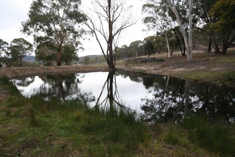 WISEMANS CREEK NSW 2795, Wisemans Creek - Thumbnail 7