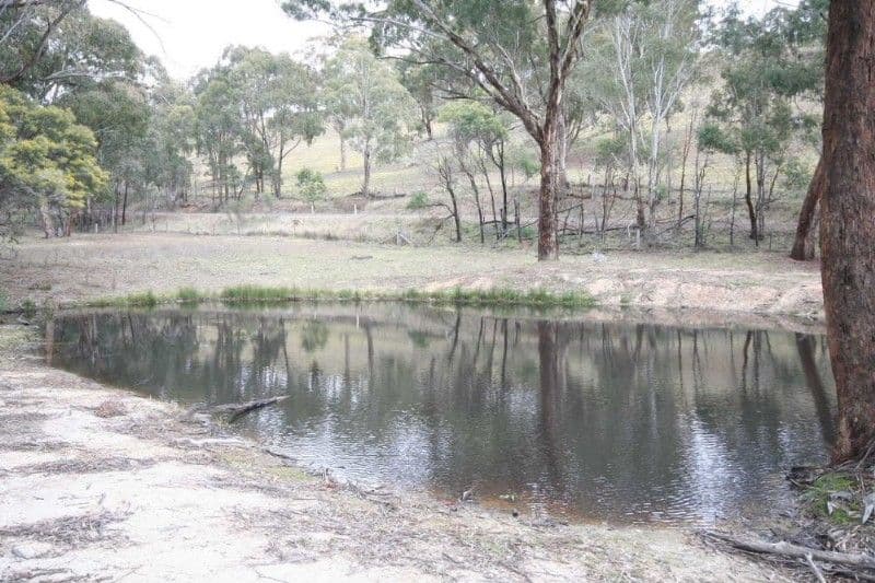 WISEMANS CREEK NSW 2795, Wisemans Creek - Thumbnail 8