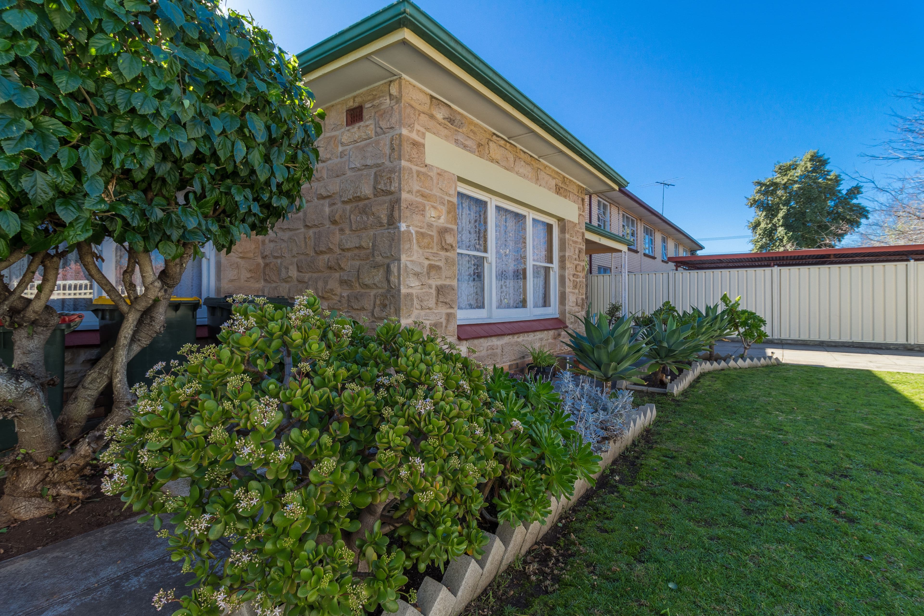 53 Davenport Terrace, Hilton SA 5033, Hilton - Thumbnail 4