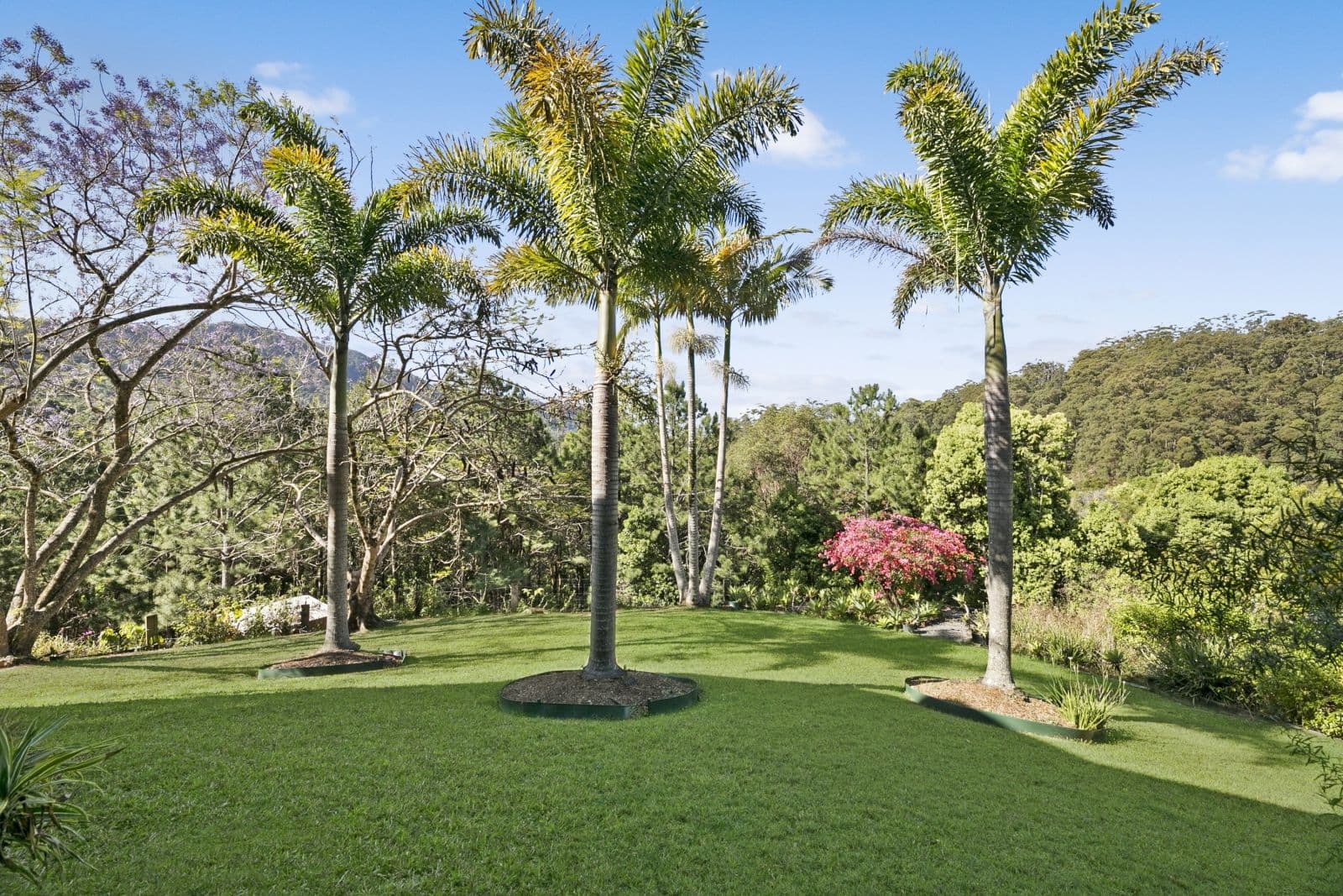 1451 Currumbin Creek Road, Currumbin Valley QLD 4223, Currumbin Valley - Thumbnail 7
