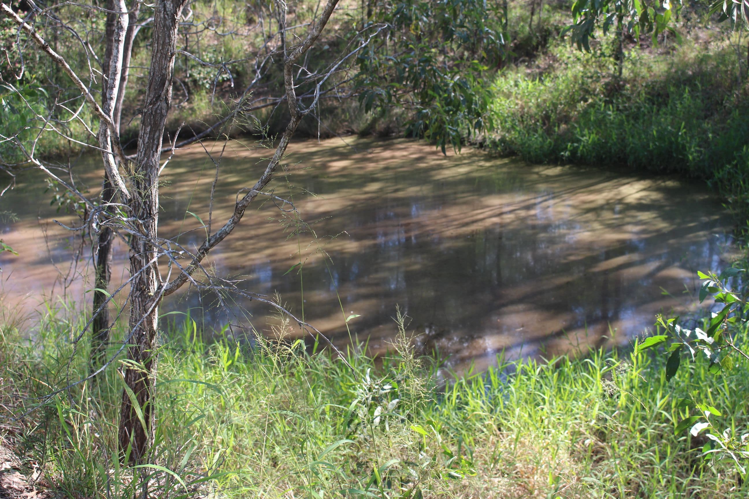 Laidley South QLD 4341, Laidley South - Thumbnail 3