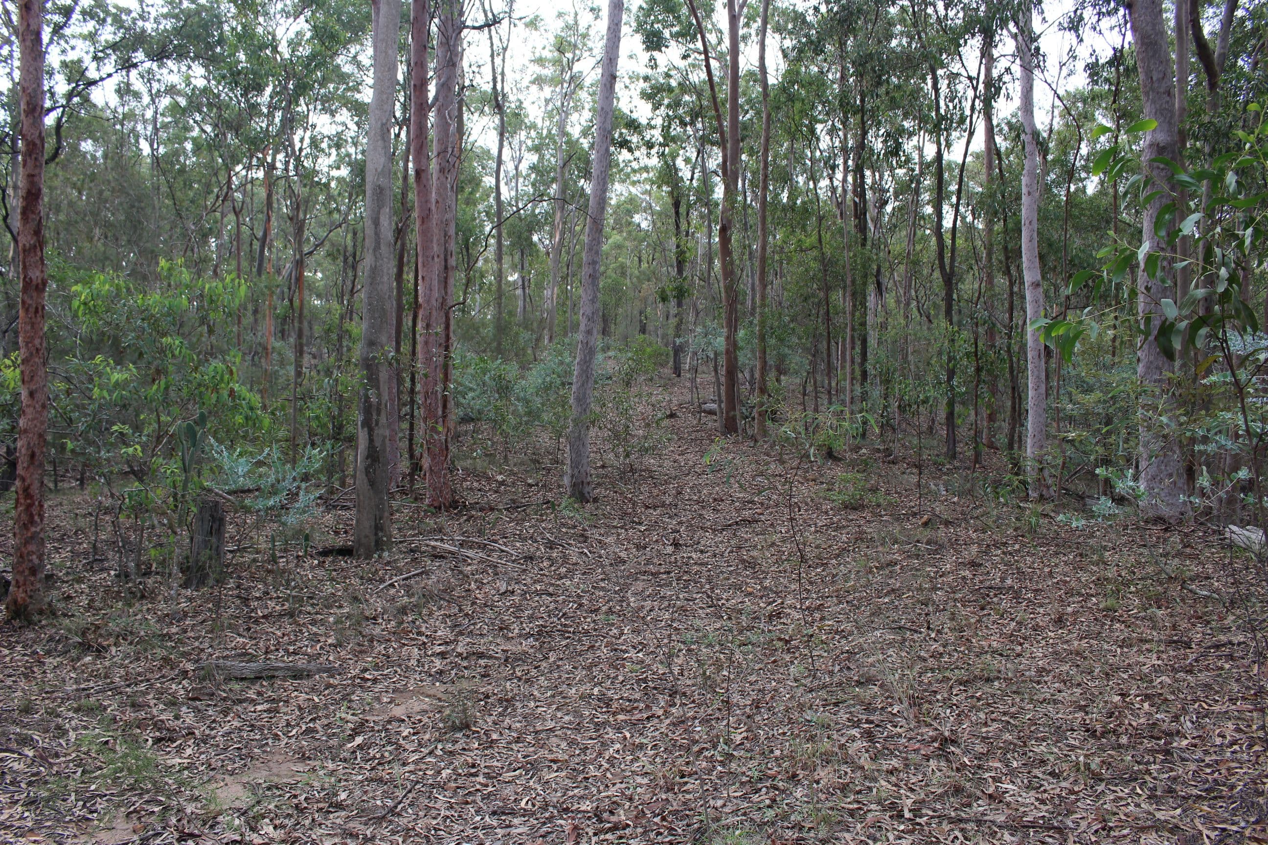 Laidley South QLD 4341, Laidley South - Thumbnail 5