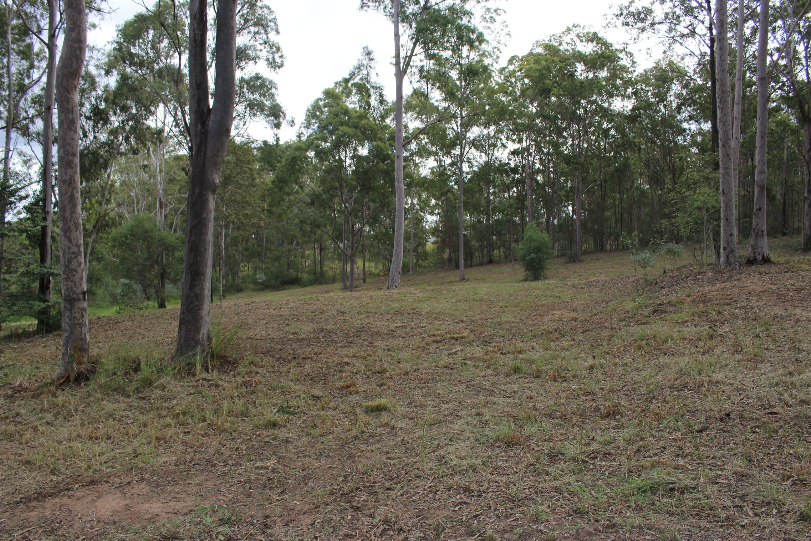 Laidley South QLD 4341, Laidley South - Thumbnail 6