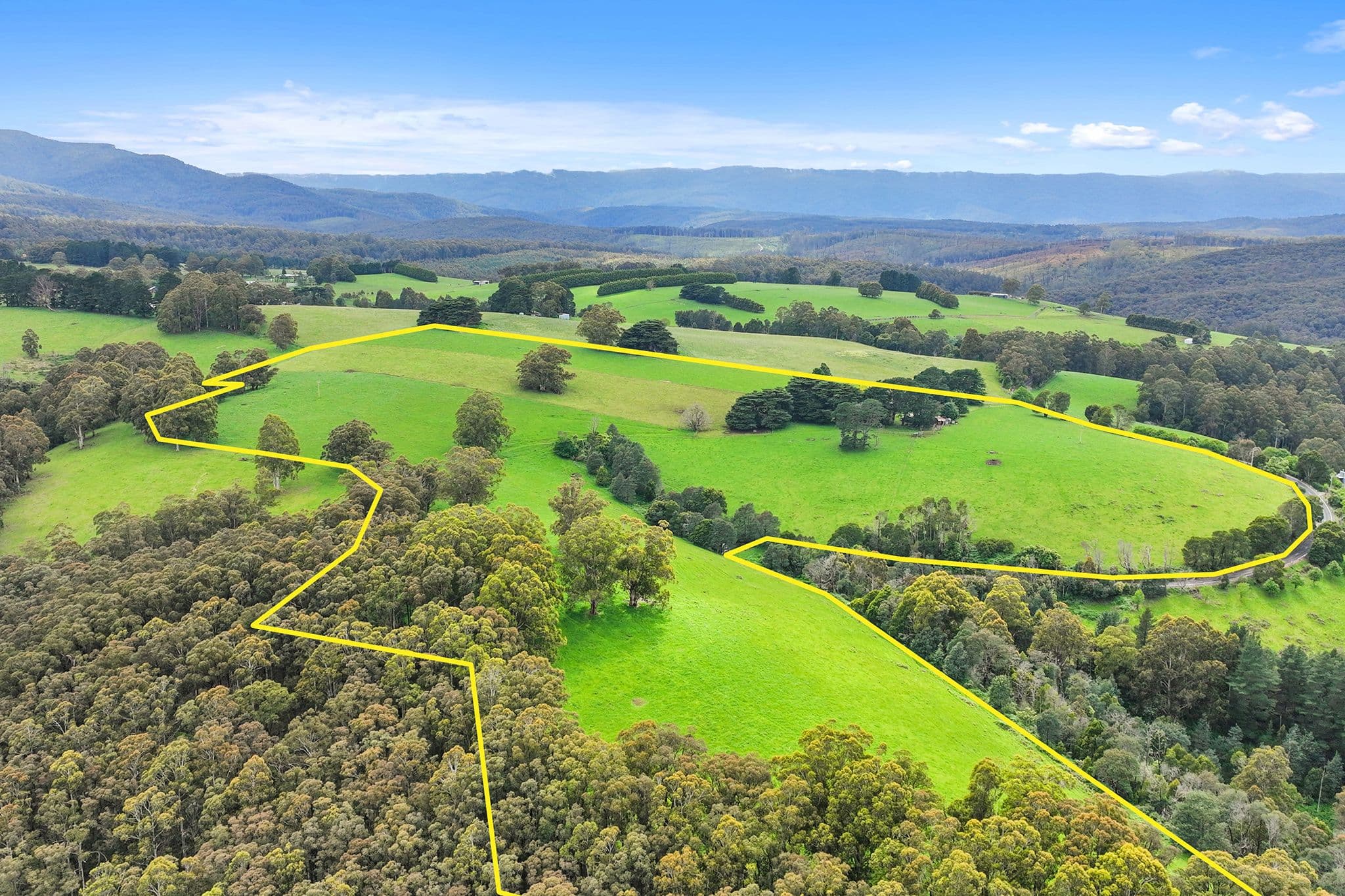 1595 Mt Baw Baw Road, Icy Creek VIC 3833, Icy Creek - Thumbnail 2