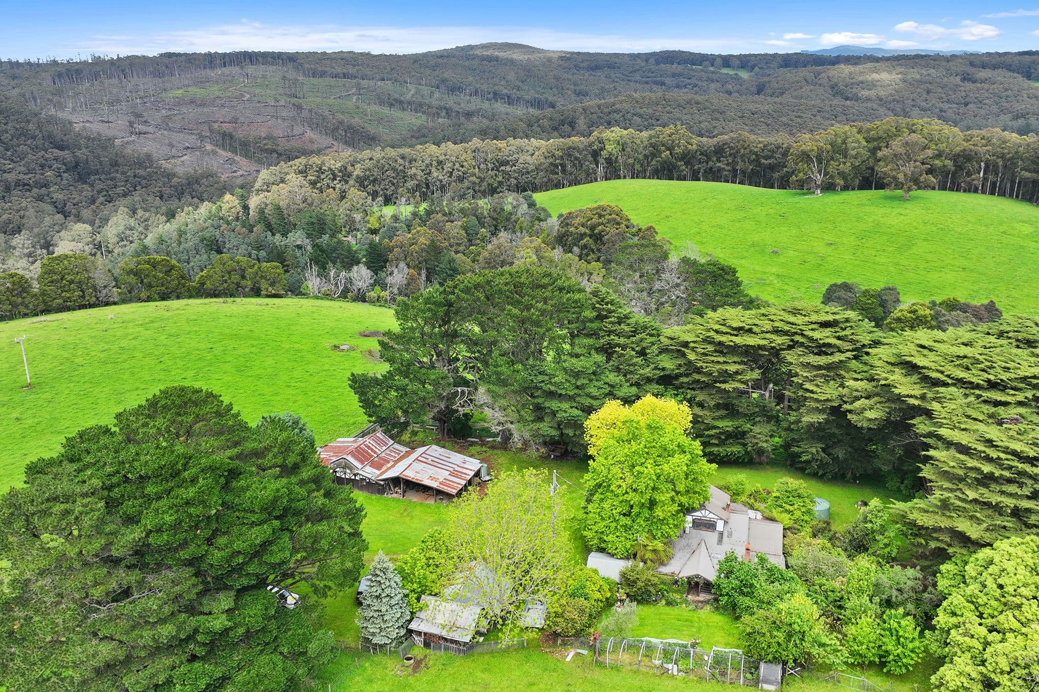 1595 Mt Baw Baw Road, Icy Creek VIC 3833, Icy Creek - Thumbnail 4