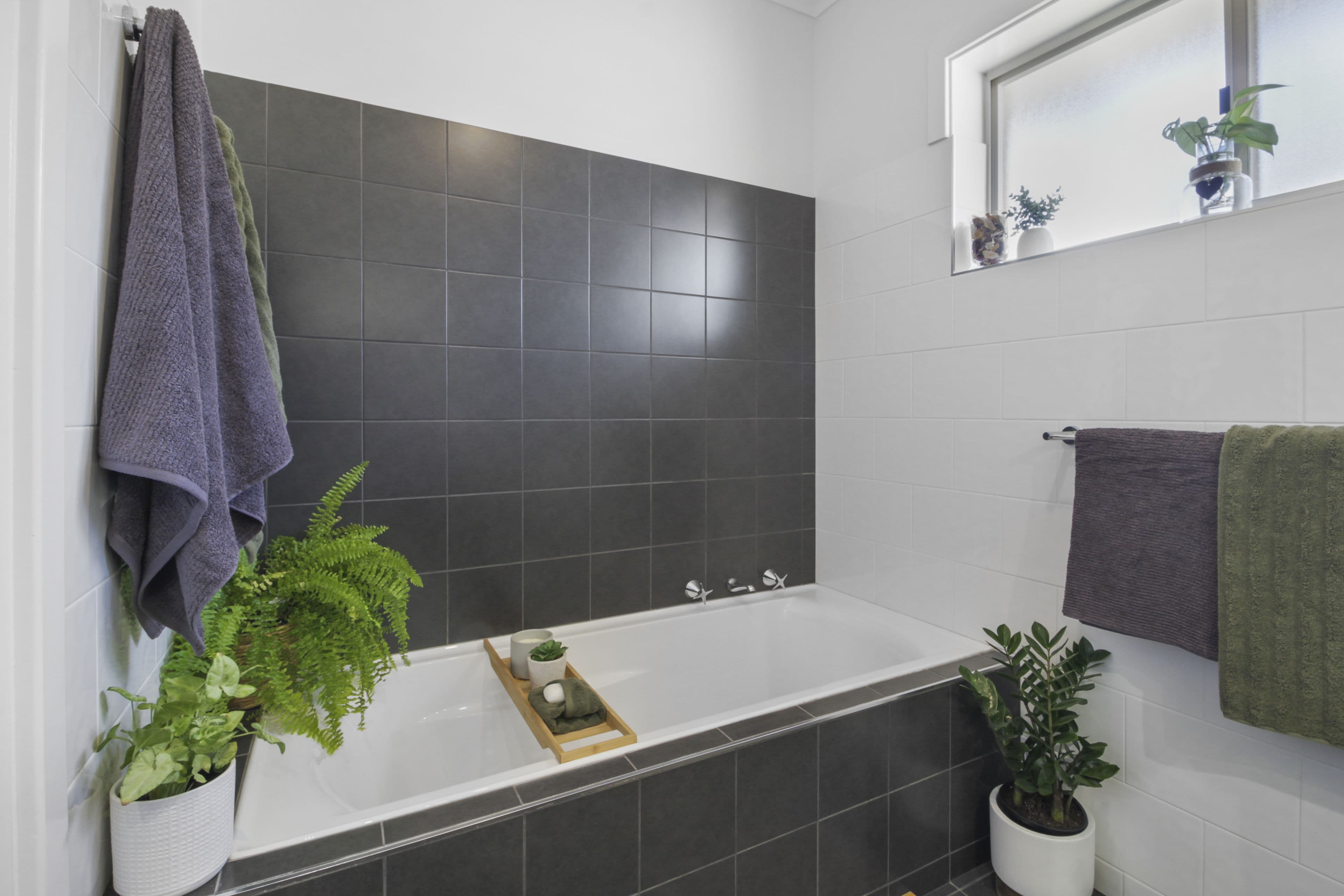 20 Scott Avenue, Barmera SA 5345, Barmera - Thumbnail 6