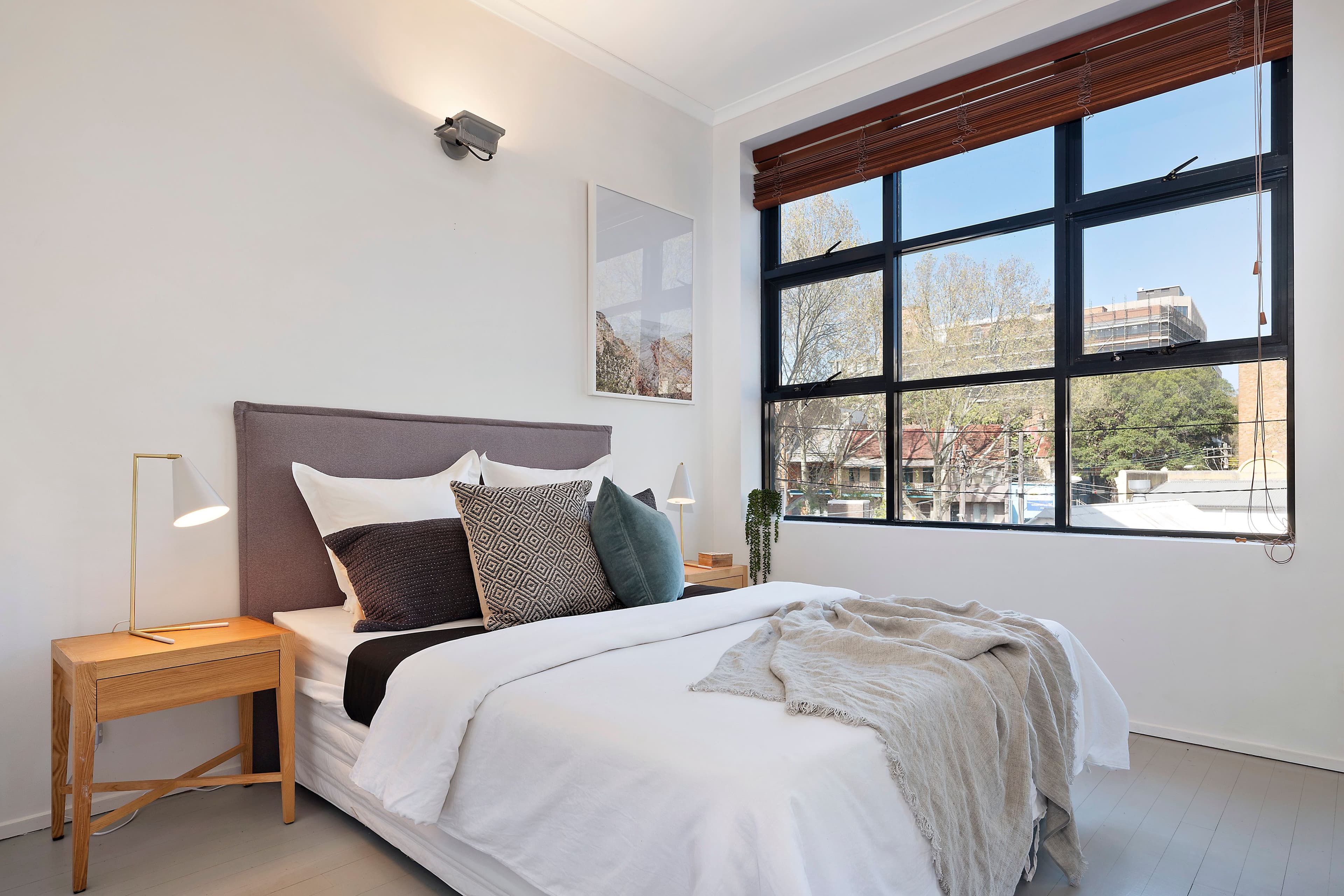 24-38 Bellevue Street, Surry Hills NSW 2010, Surry Hills - Thumbnail 4