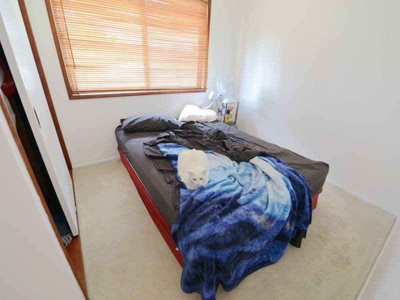 312 Gowan Road, Sunnybank Hills QLD 4109, Sunnybank Hills - Thumbnail 6