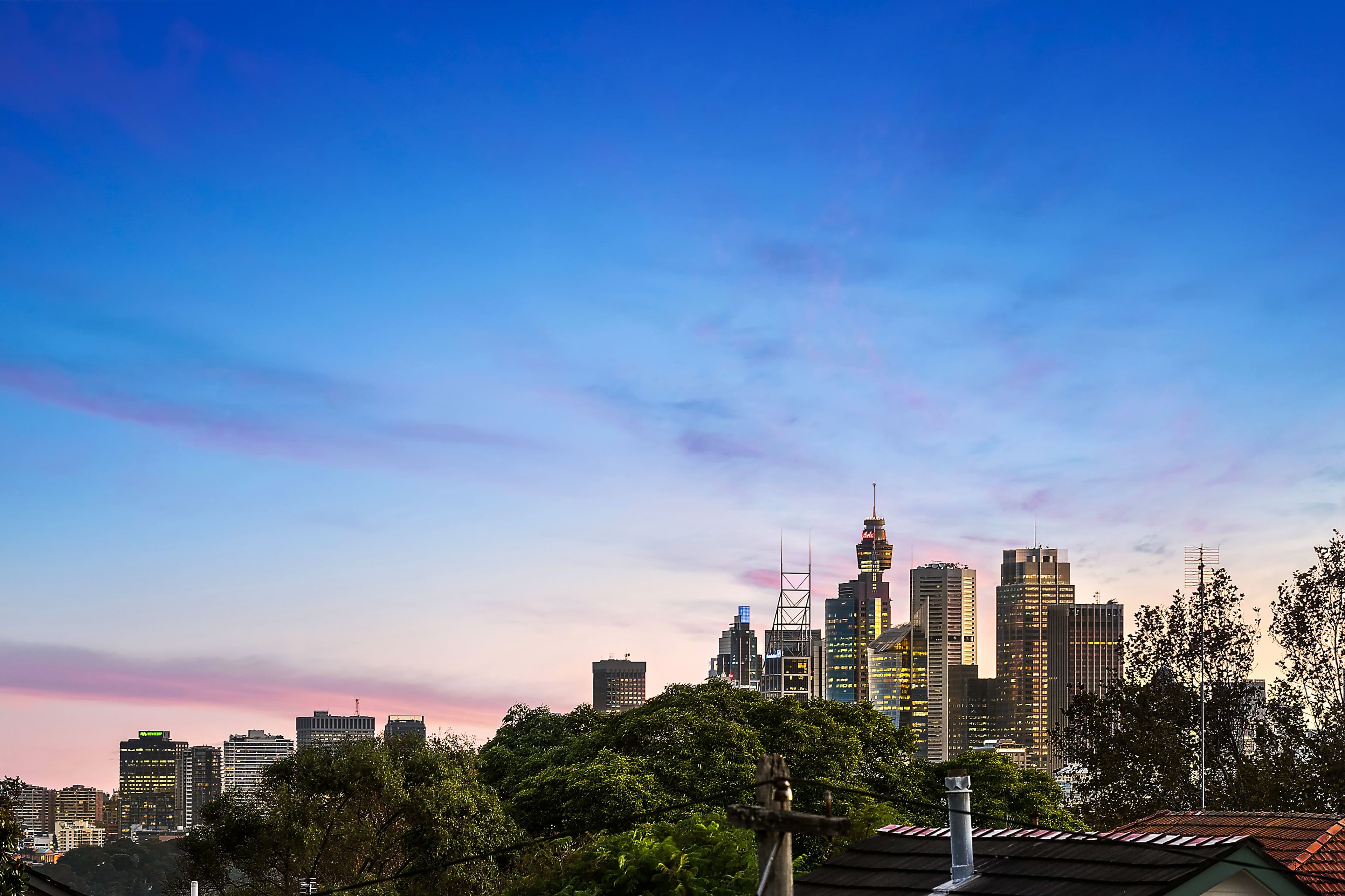 68 Glover Street, Mosman - Thumbnail 7