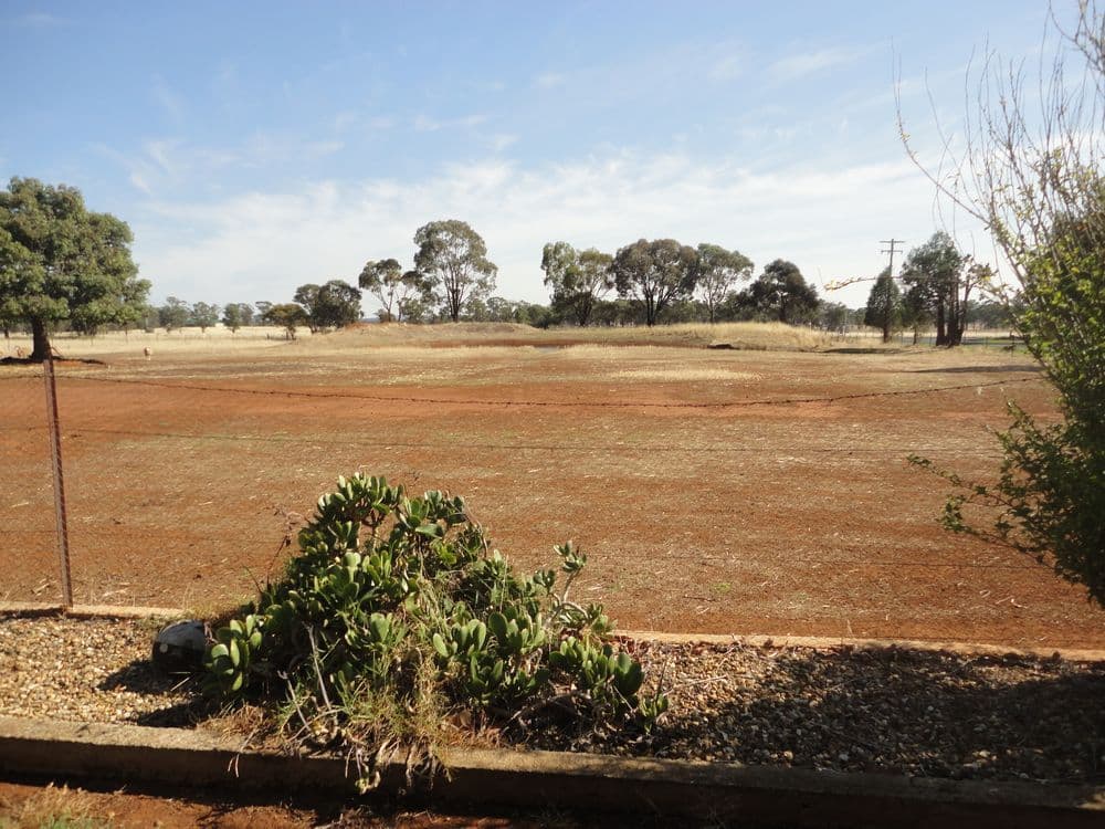 Lot 2 French Street, TEMORA NSW 2666, Temora - Thumbnail 5