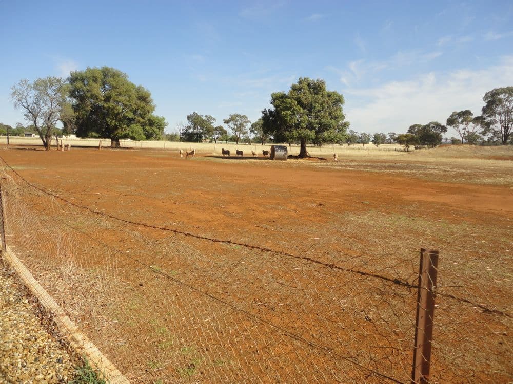 Lot 2 French Street, TEMORA NSW 2666, Temora - Thumbnail 6