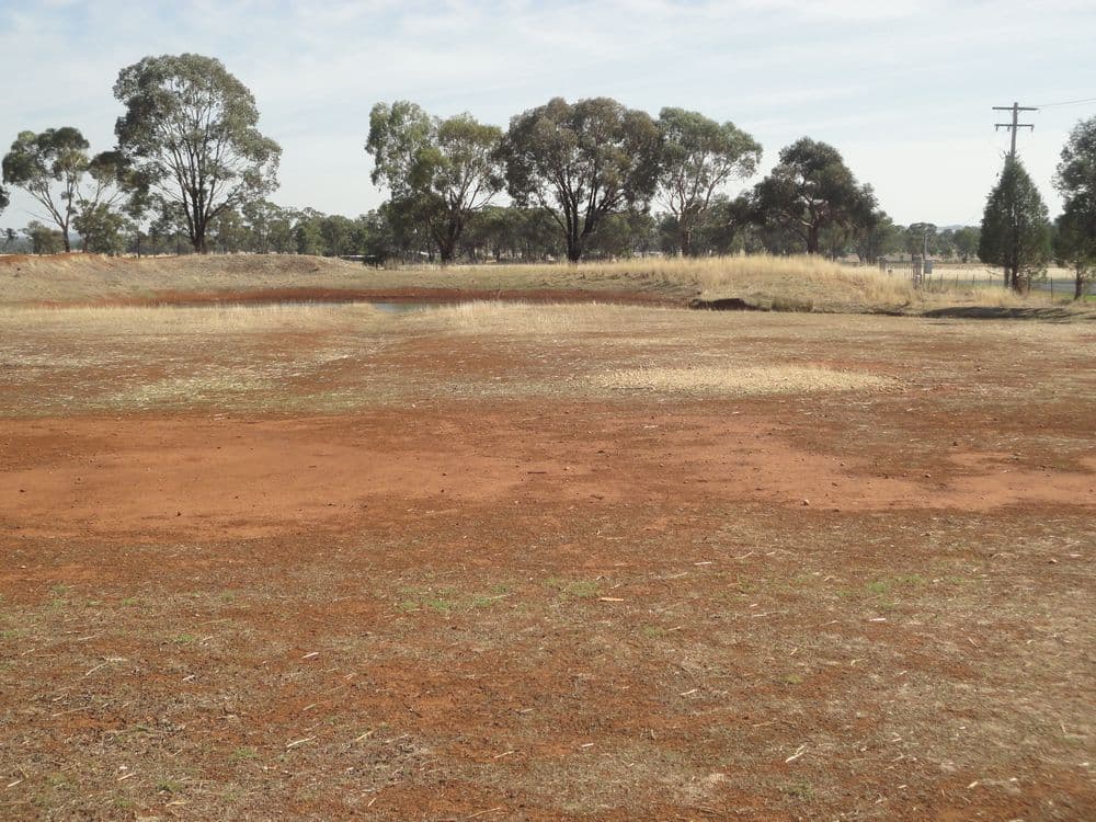 Lot 2 French Street, TEMORA NSW 2666, Temora - Thumbnail 7