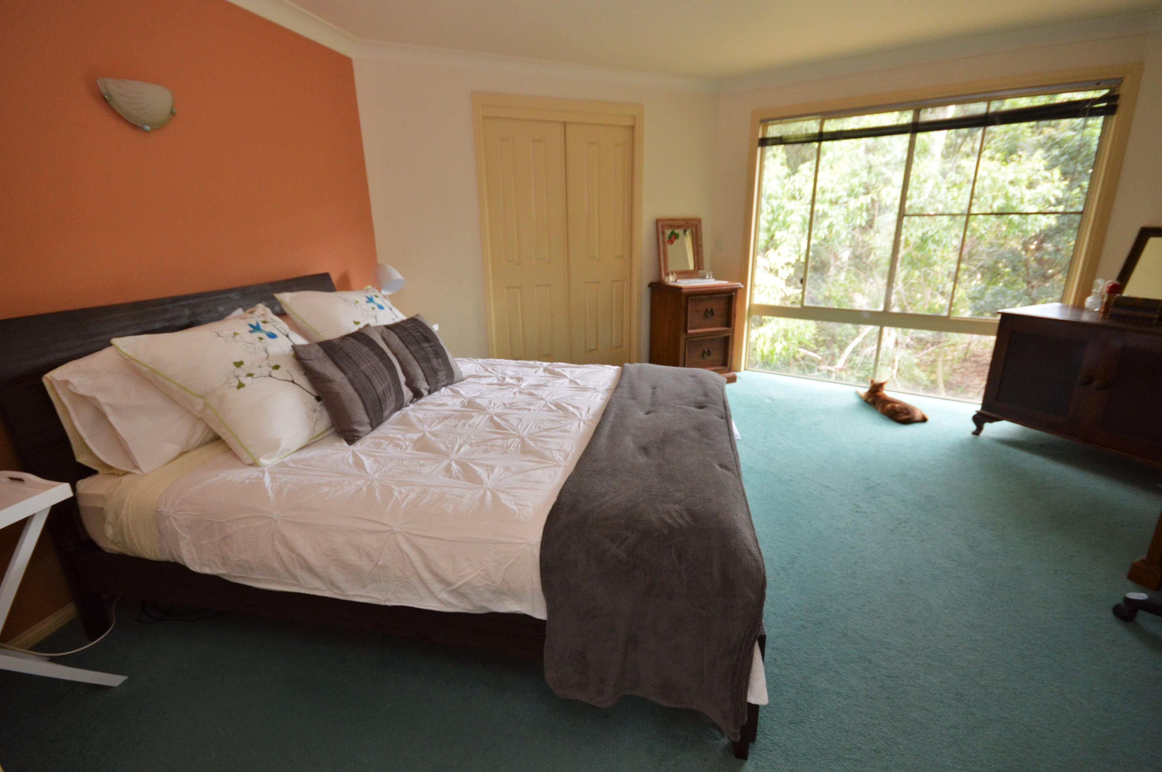 6 Searle Close, Boambee East - Thumbnail 8