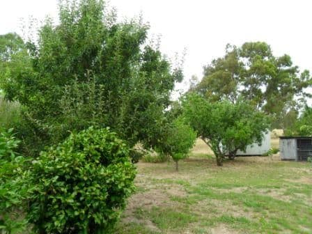 690 Highlands Road, SEYMOUR VIC 3660, Seymour - Thumbnail 8
