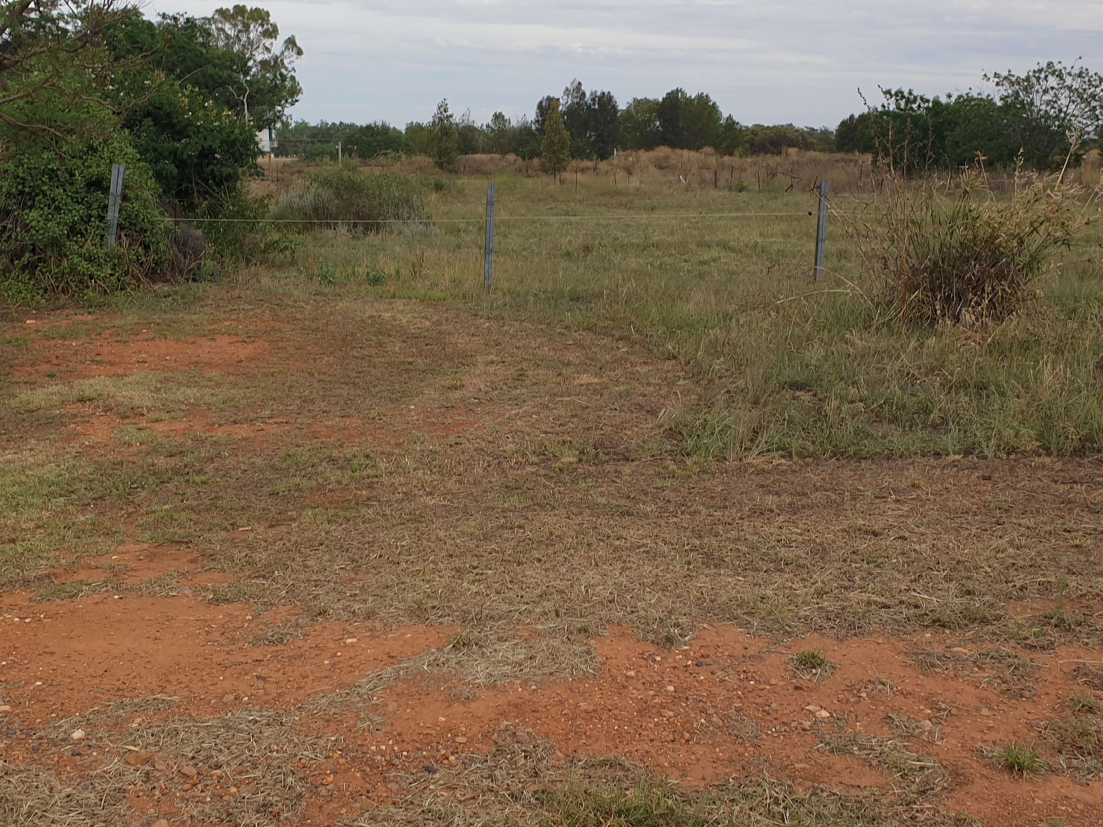 32 Lindner Street, Peak Hill NSW 2869, Peak Hill - Thumbnail 3