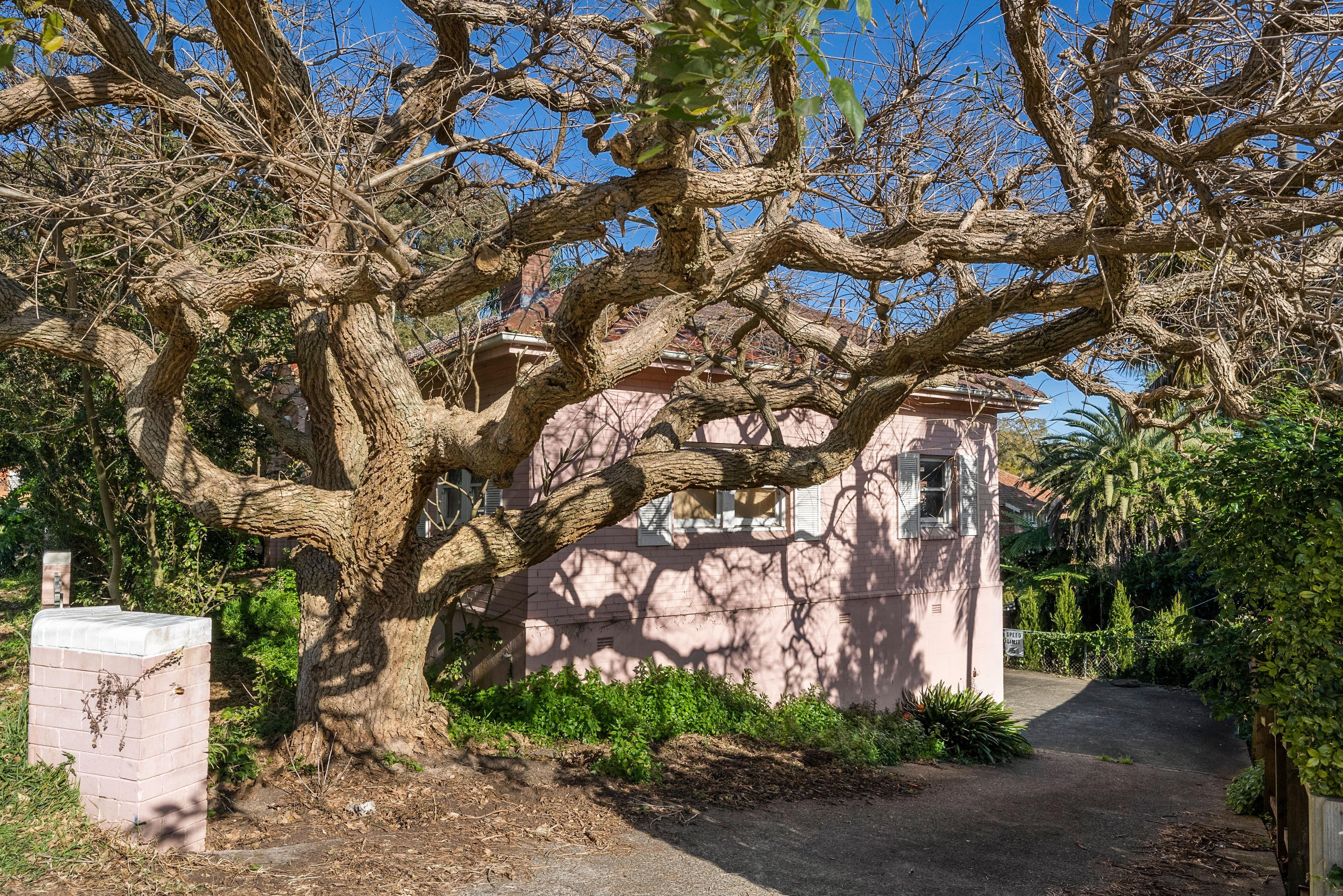 2a Rangers Avenue, Mosman NSW 2088, Mosman - Thumbnail 2