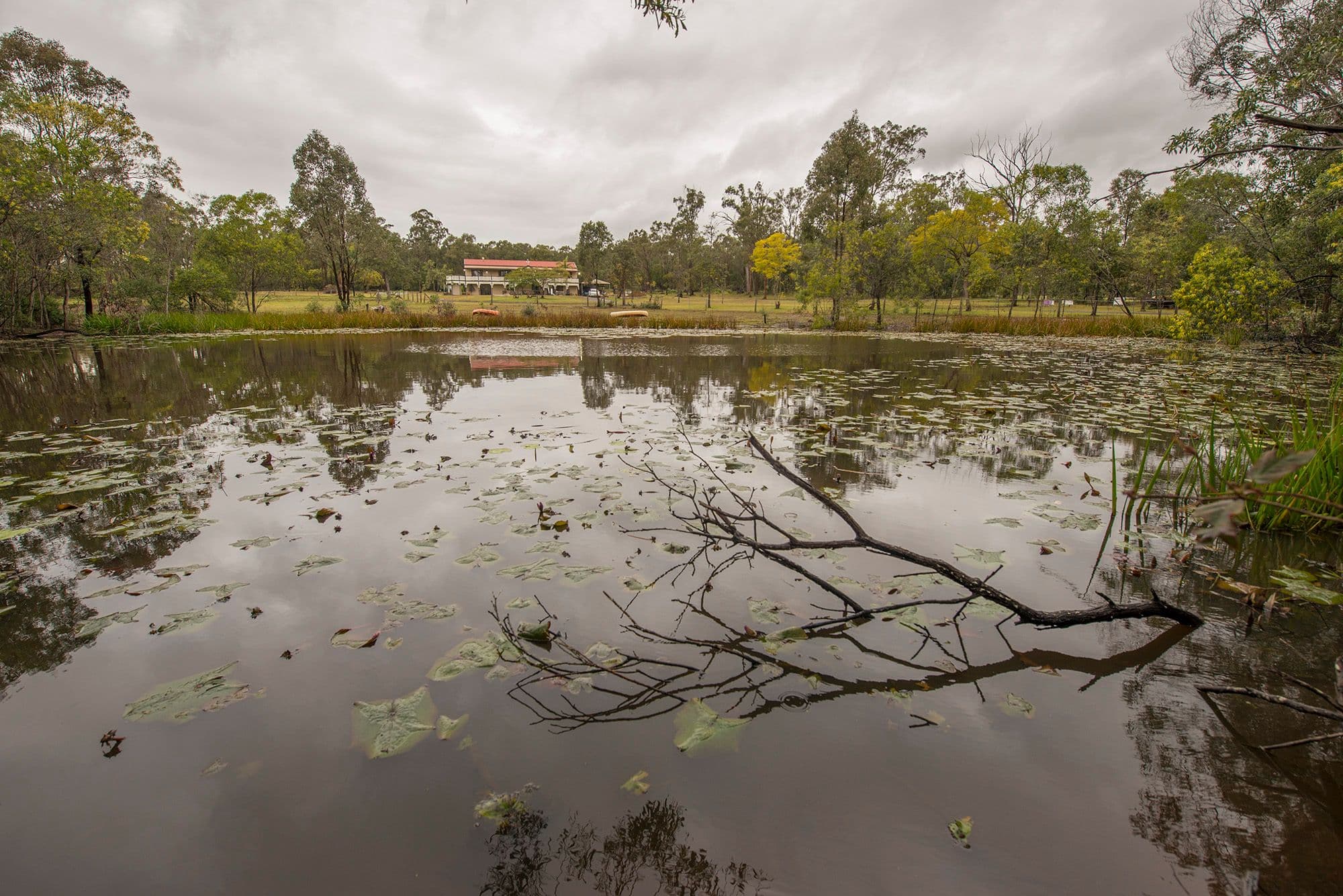 53-65 Schultzs Road, Ironbark QLD 4306, Ironbark - Thumbnail 3
