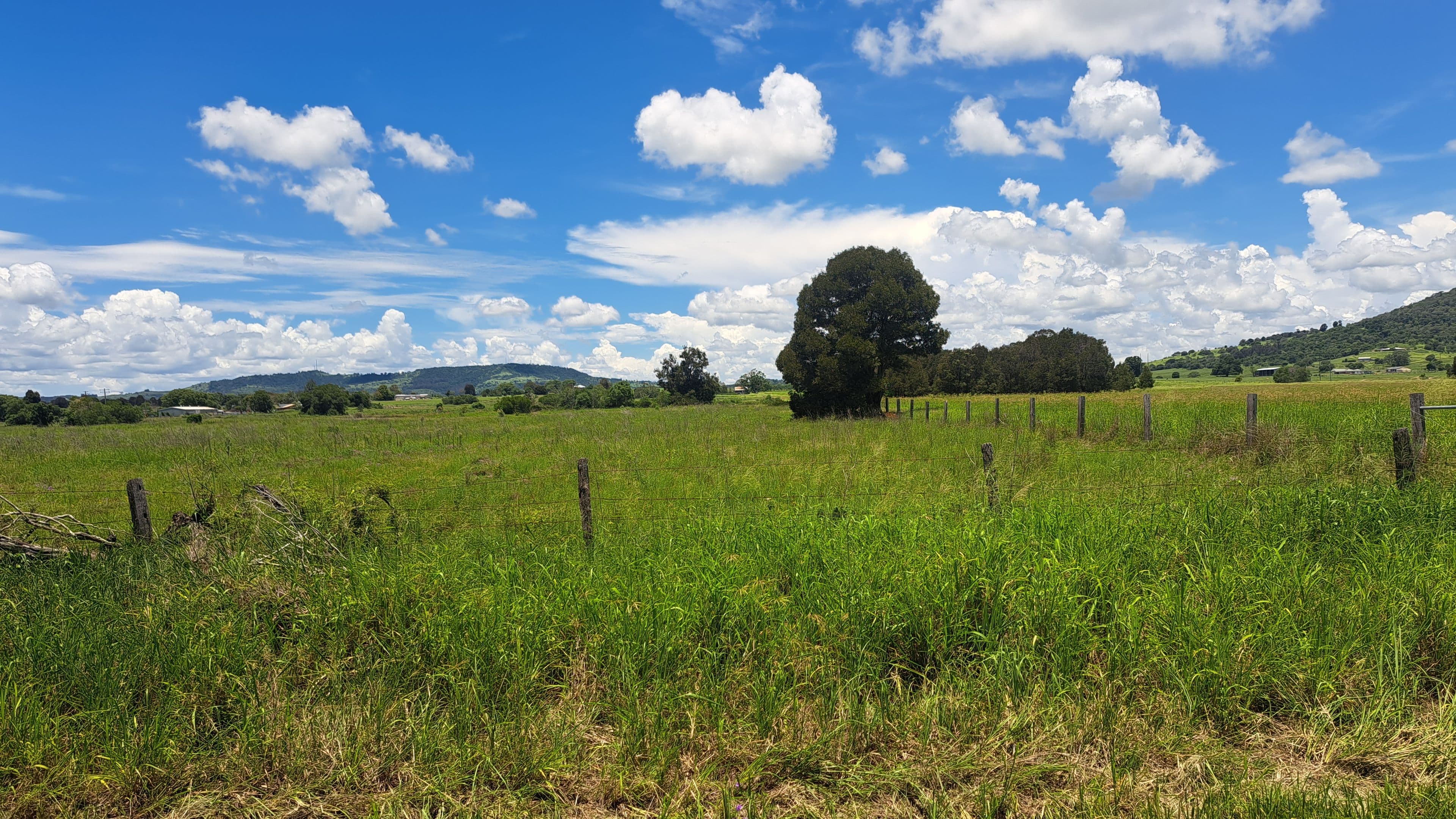 316 Schulz Road, Prenzlau QLD 4311, Prenzlau - Thumbnail 3