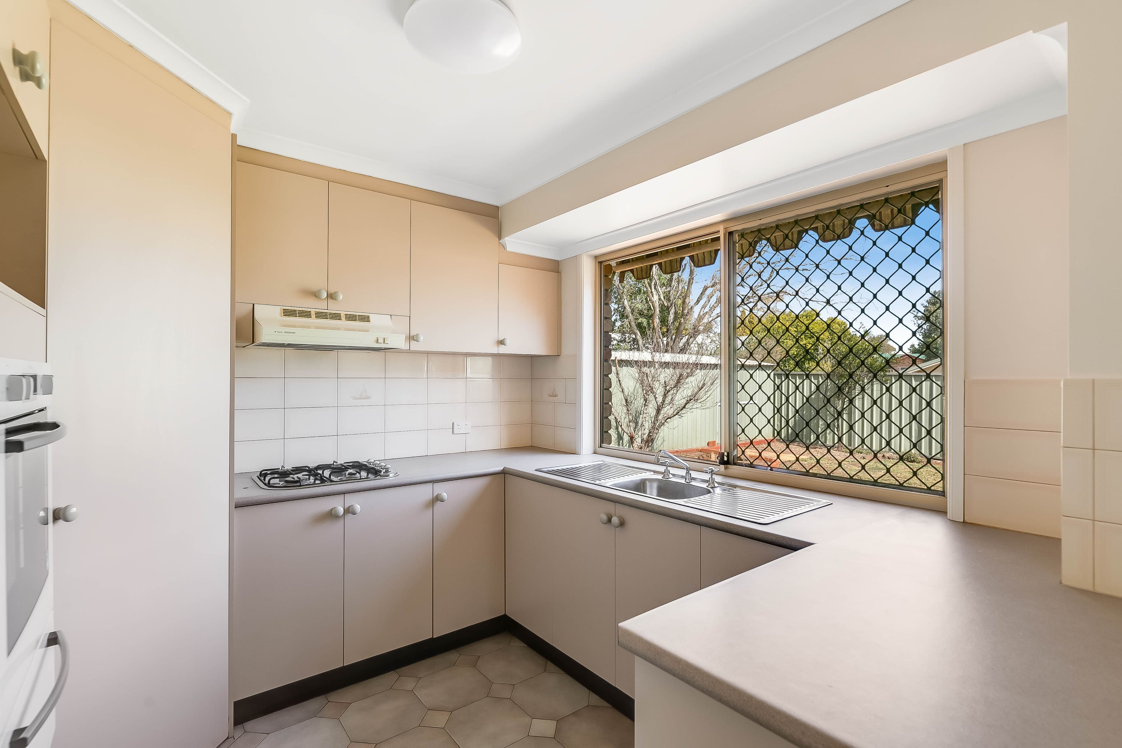 16 Ware Court, Darling Heights QLD 4350, Darling Heights - Thumbnail 4