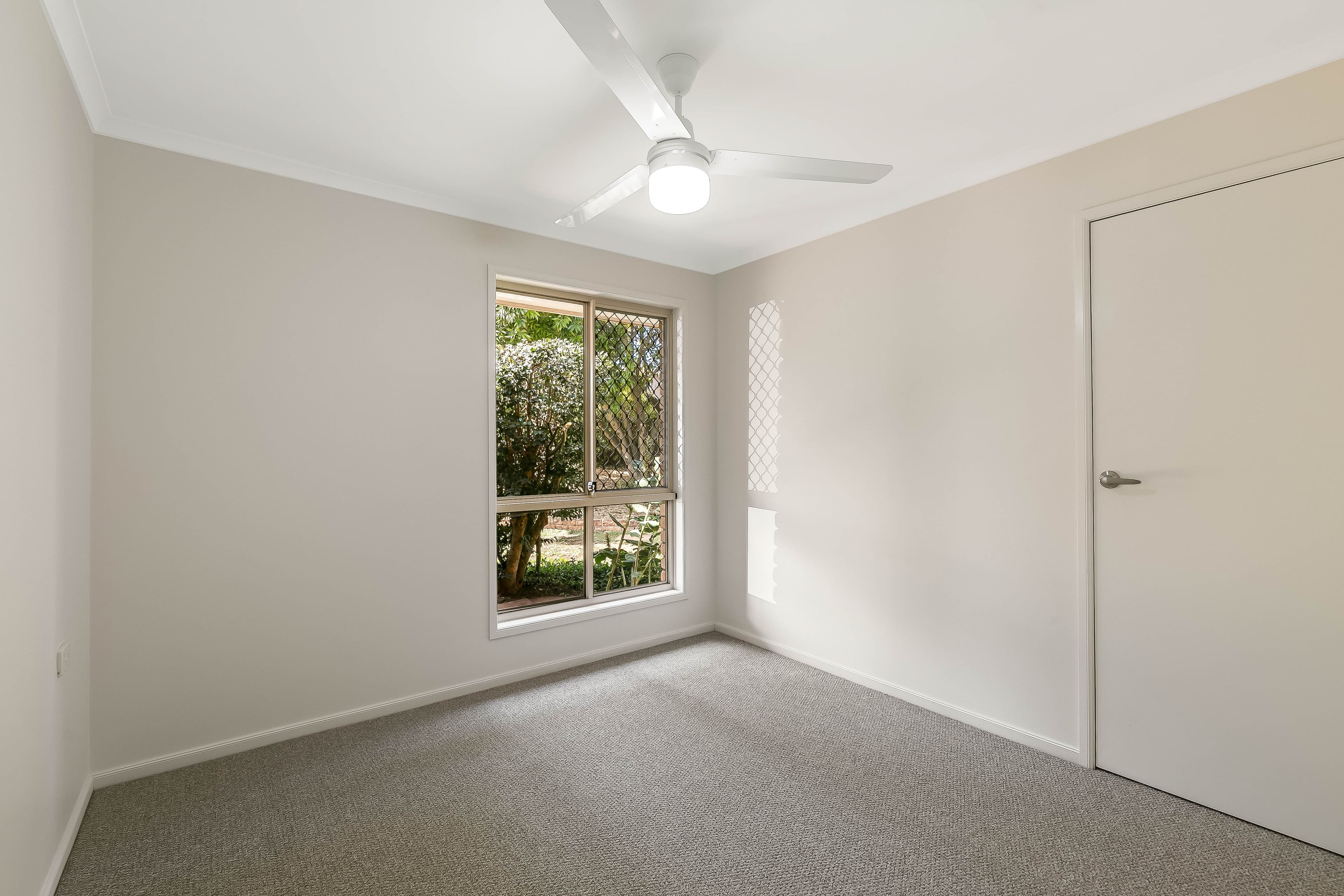 16 Ware Court, Darling Heights QLD 4350, Darling Heights - Thumbnail 6