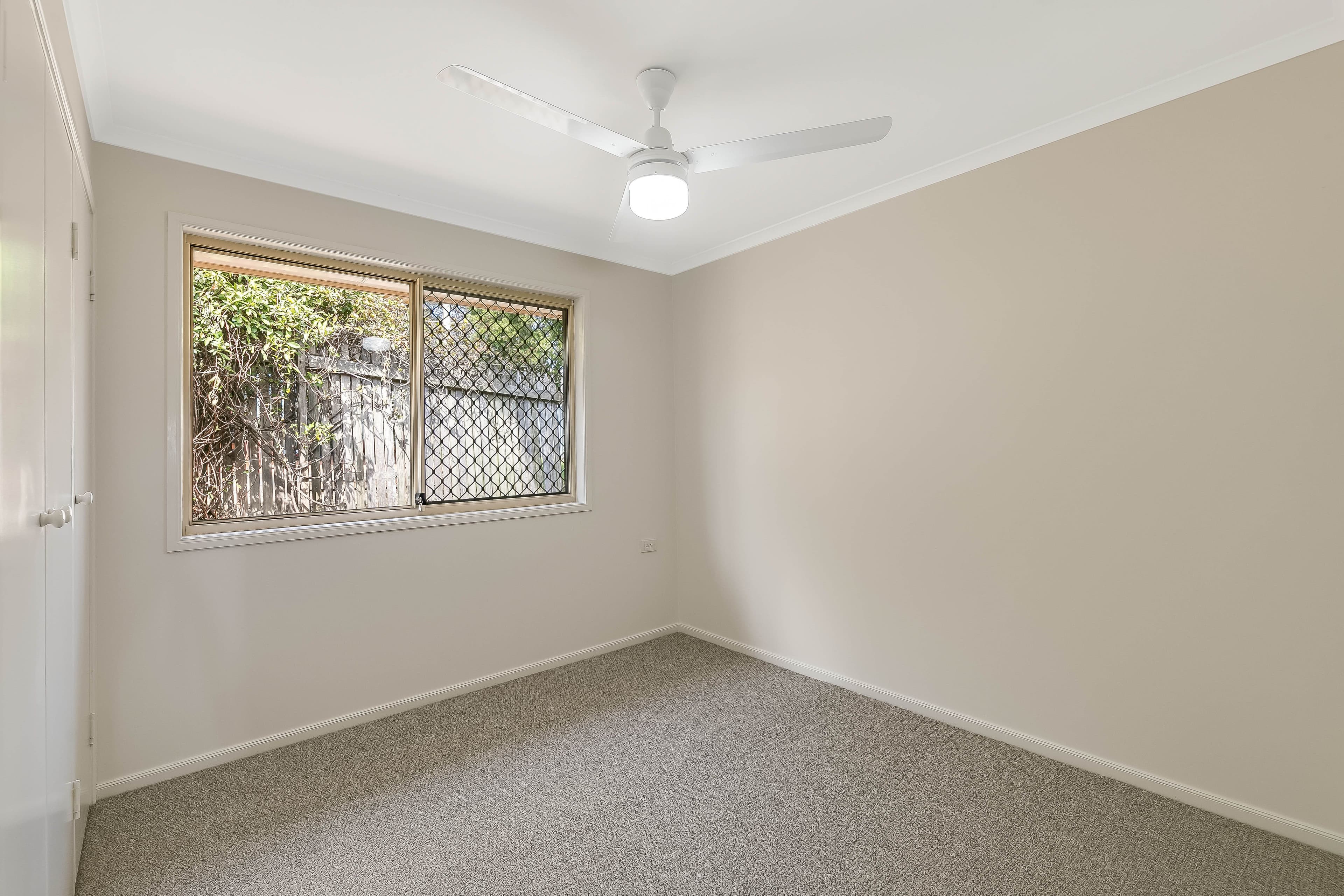 16 Ware Court, Darling Heights QLD 4350, Darling Heights - Thumbnail 7