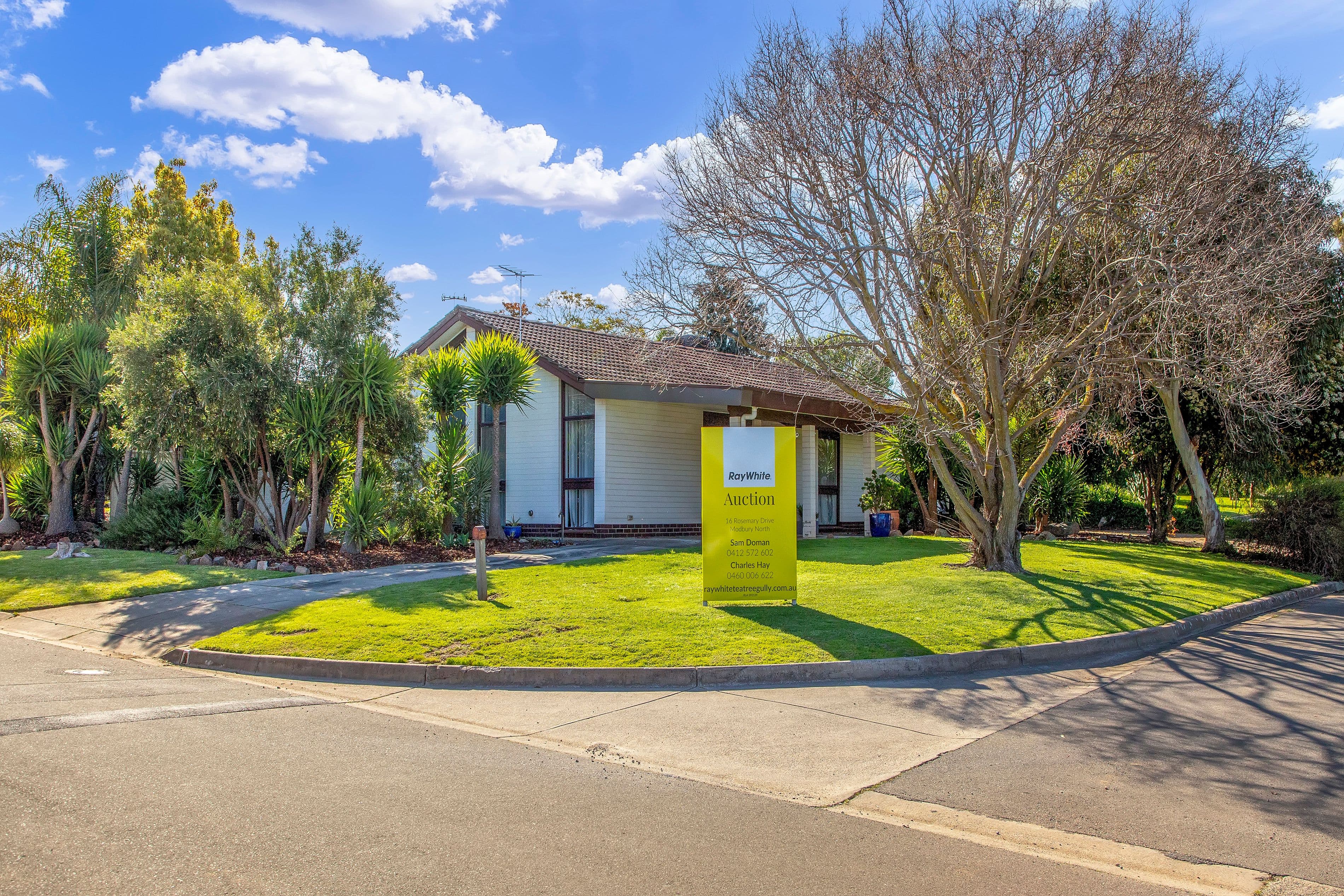 16 Rosemary Drive, Modbury North SA 5092, Modbury North - Image 1