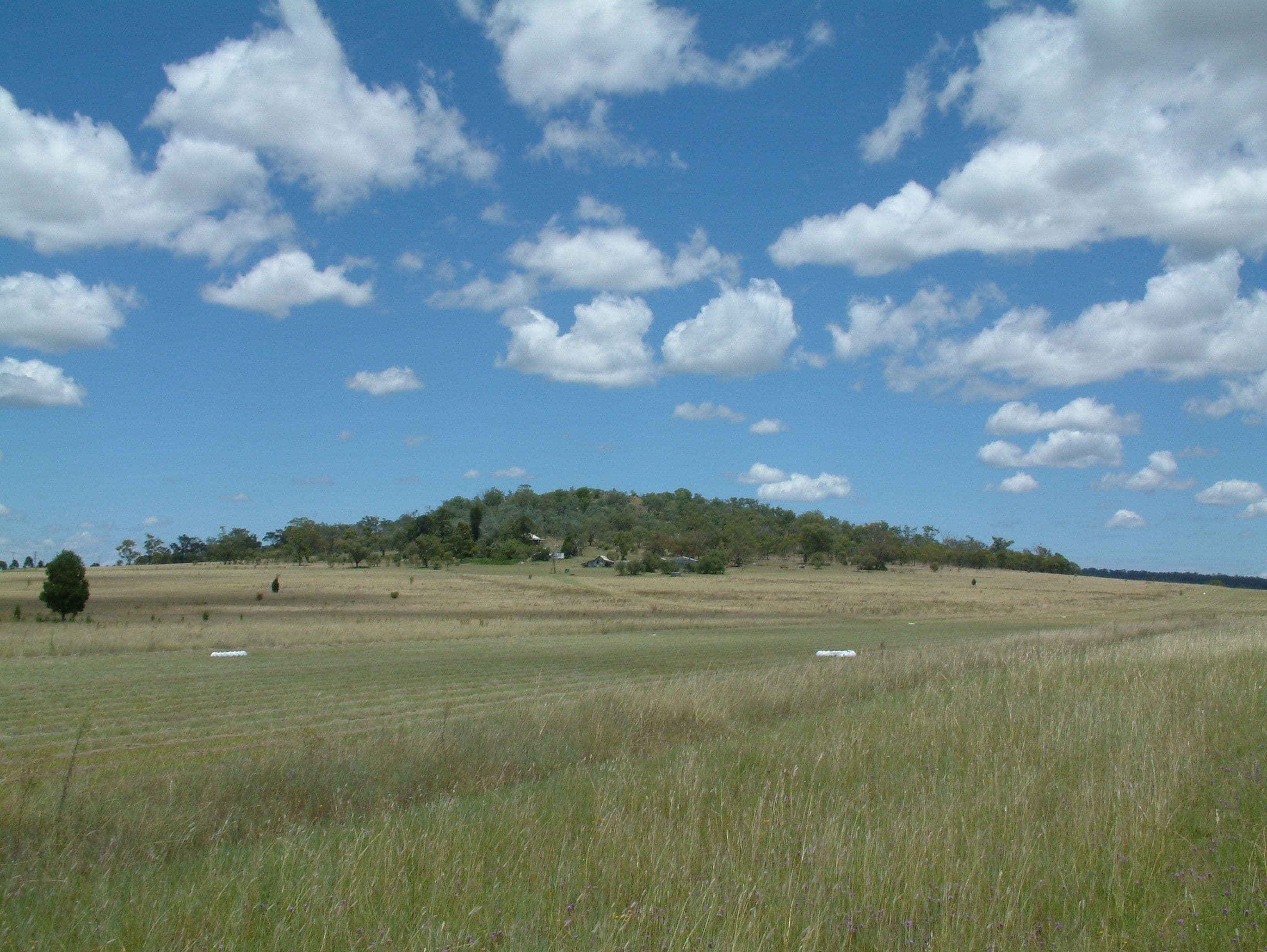 ' Sunnyside', Southbrook QLD 4363, Southbrook - Image 1