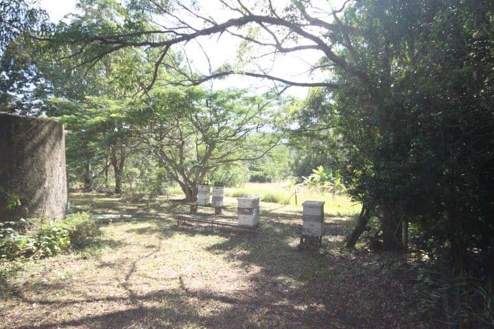 384 Happy Jack Creek Road, COOROY QLD 4563, Cooroy - Thumbnail 3