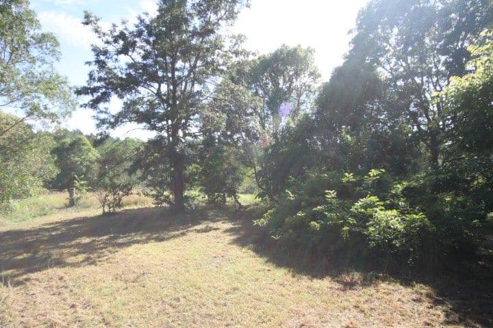 384 Happy Jack Creek Road, COOROY QLD 4563, Cooroy - Thumbnail 6