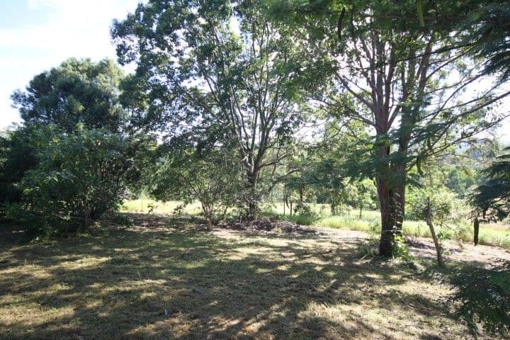 384 Happy Jack Creek Road, COOROY QLD 4563, Cooroy - Thumbnail 7