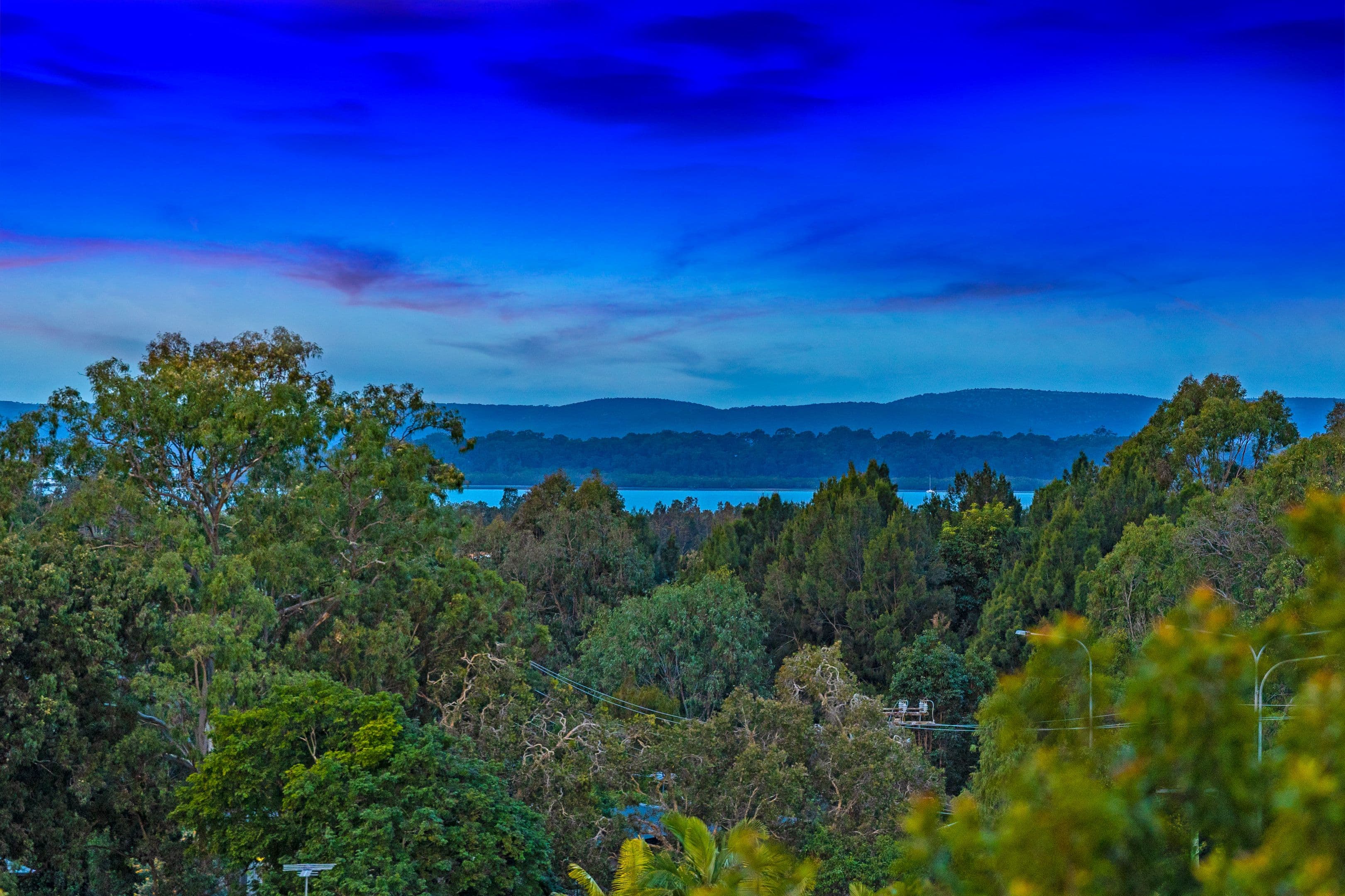 8 Tarina Street, Cleveland QLD 4163, Cleveland - Thumbnail 6