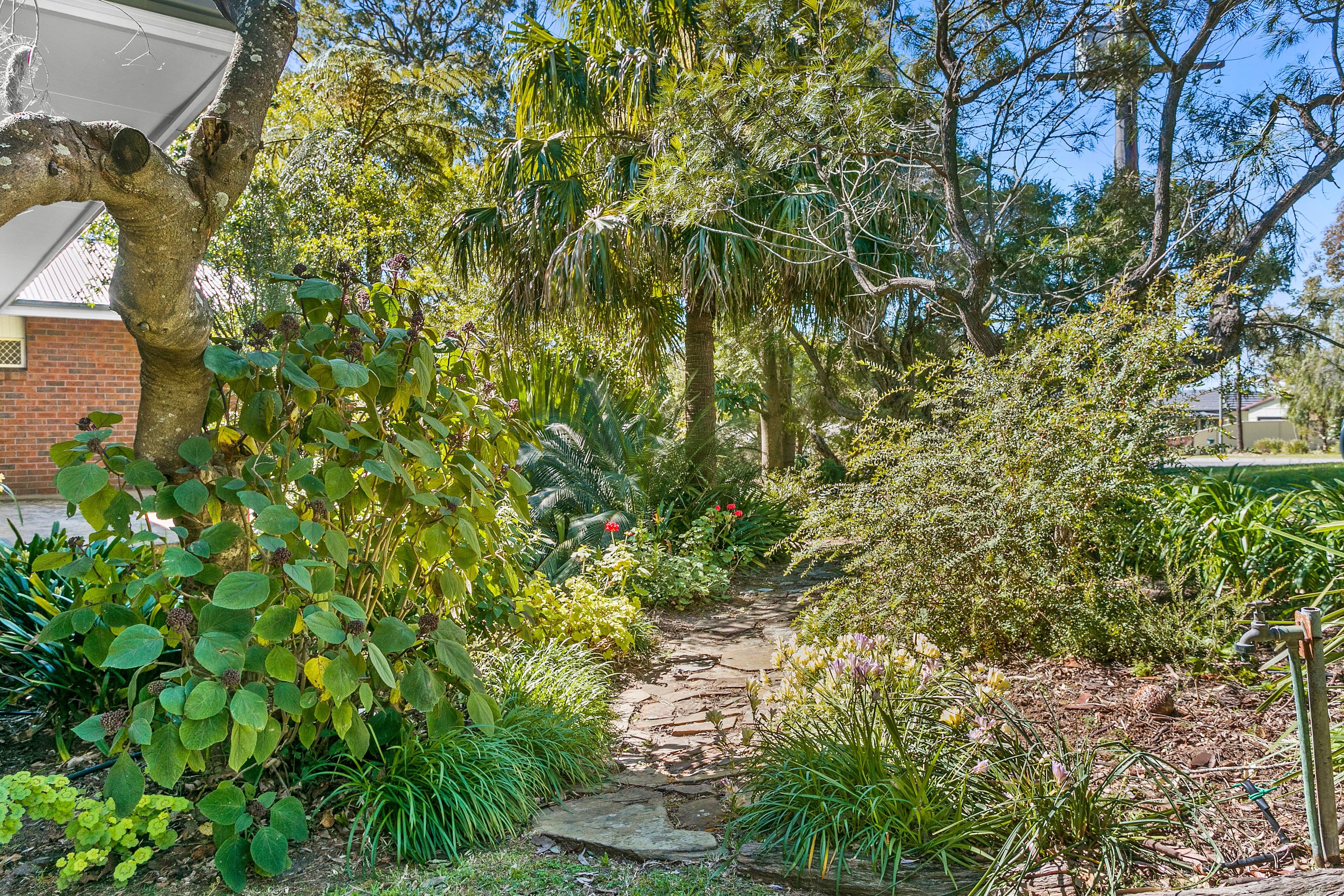 90 Parkes Street, Helensburgh NSW 2508, Helensburgh - Thumbnail 8