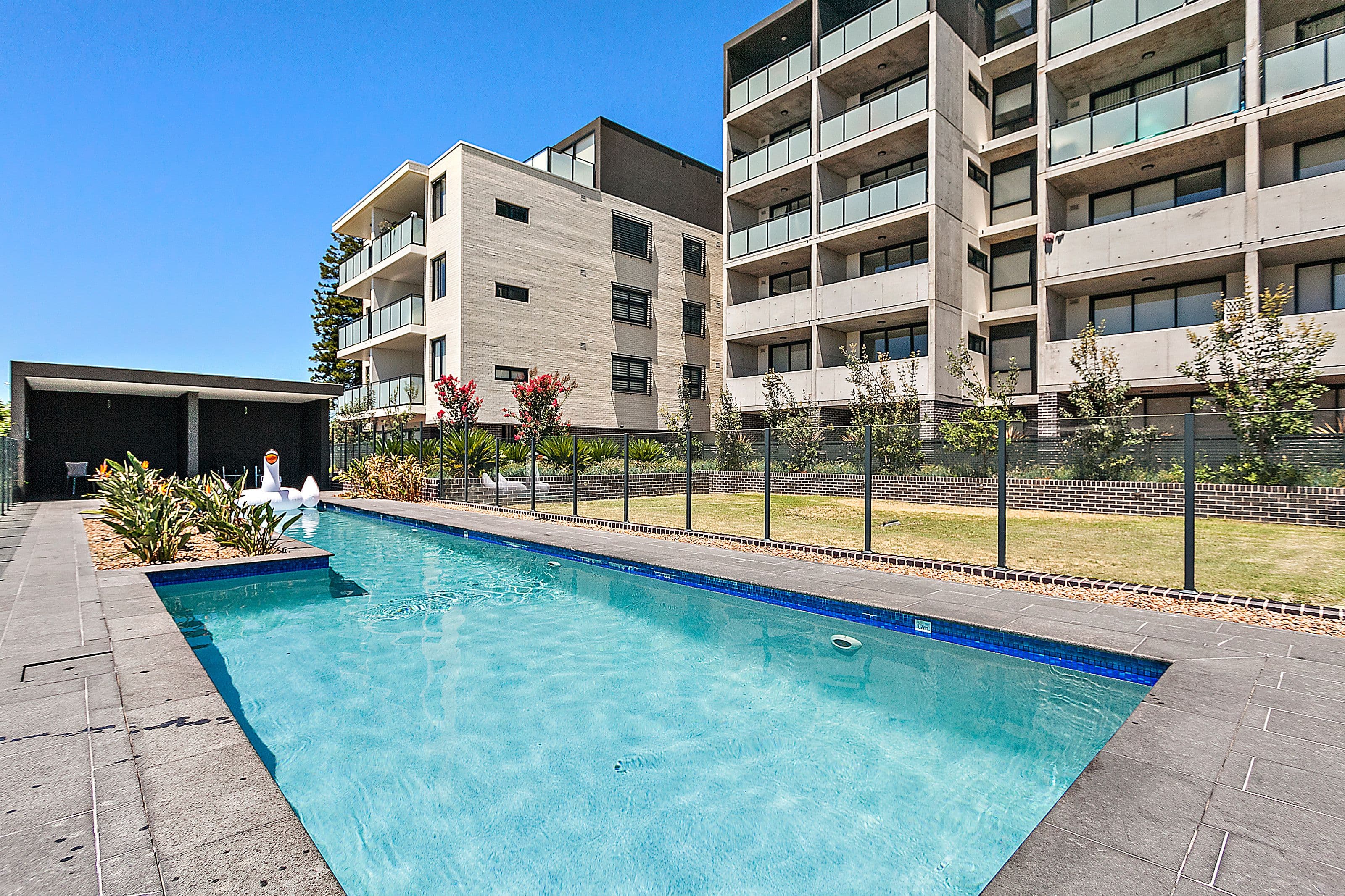 159 Frederick Street, Bexley NSW 2207, Bexley - Thumbnail 7