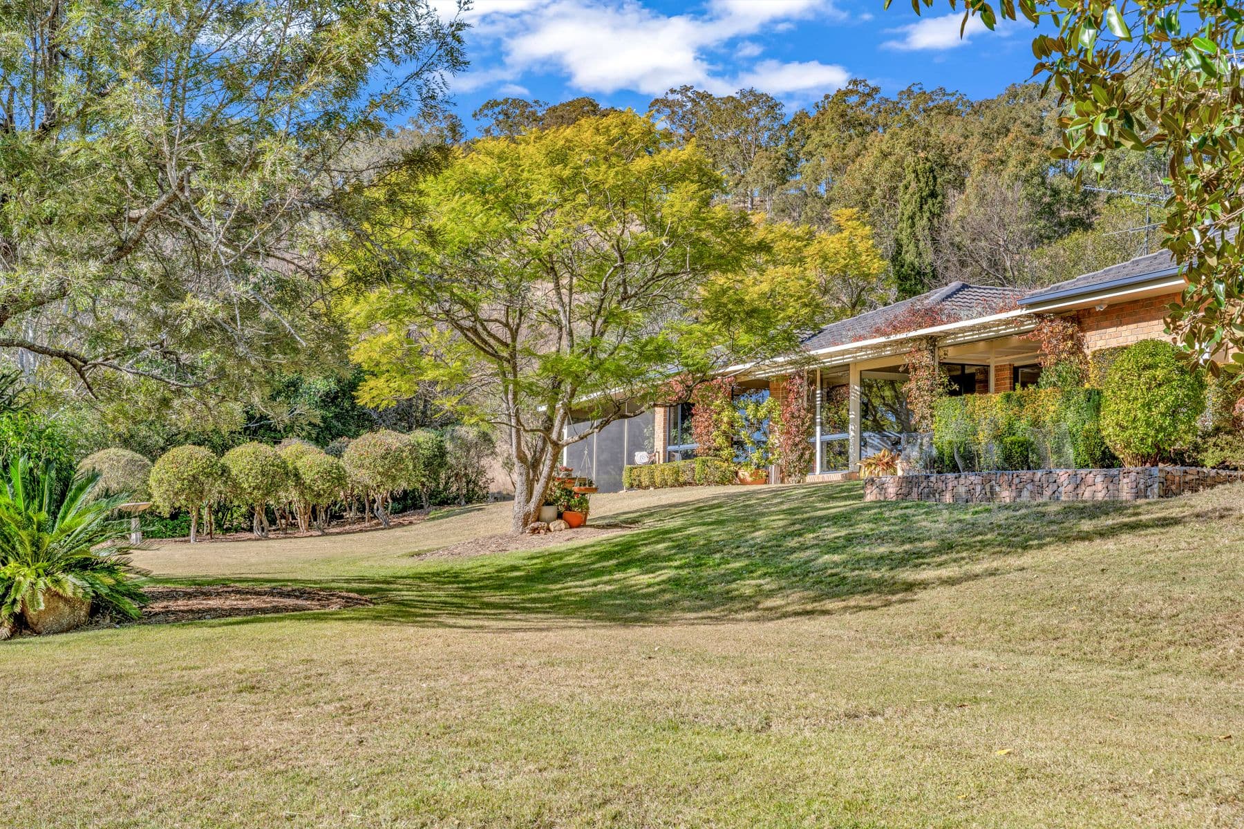 424 Wallarobba-Brookfield Road, Wallarobba NSW 2420, Wallarobba - Thumbnail 2