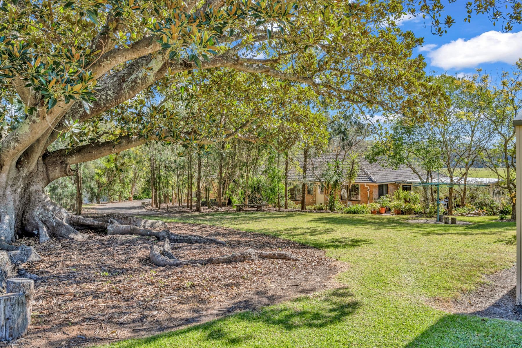 424 Wallarobba-Brookfield Road, Wallarobba NSW 2420, Wallarobba - Thumbnail 8