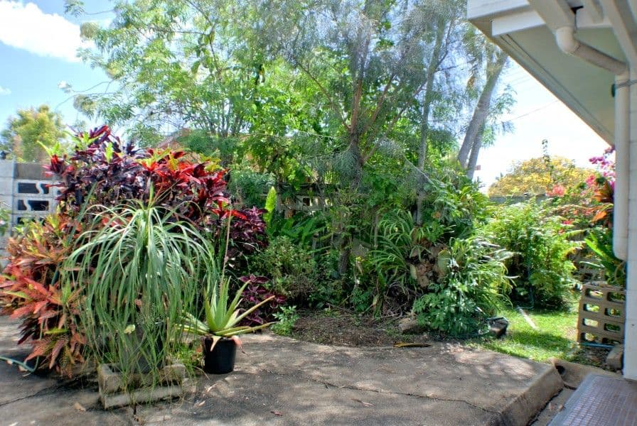 411 Fulham Road, HEATLEY QLD 4814, Heatley - Thumbnail 5