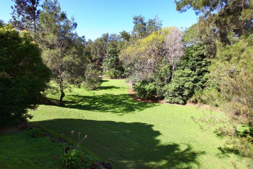 9 Miners Court, MUDGEERABA QLD 4213, Mudgeeraba - Thumbnail 3