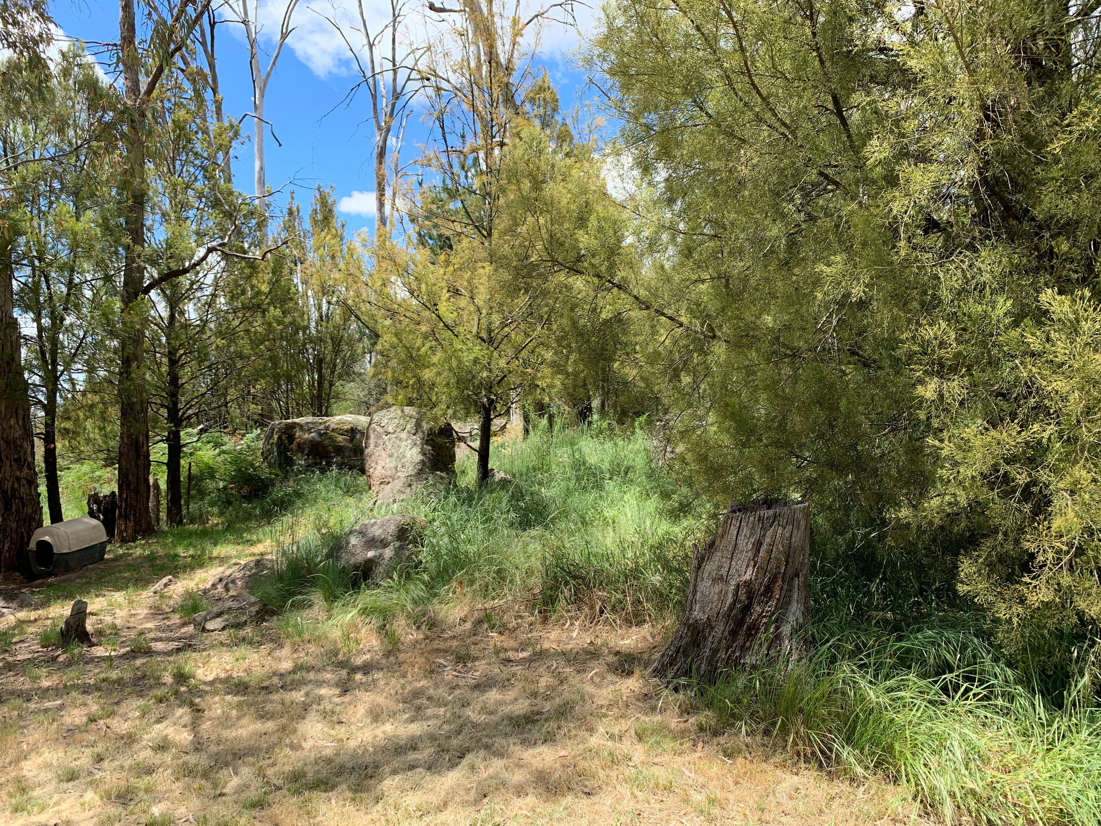 3 Reservoir Lane, Tumbarumba NSW 2653, Tumbarumba - Thumbnail 4