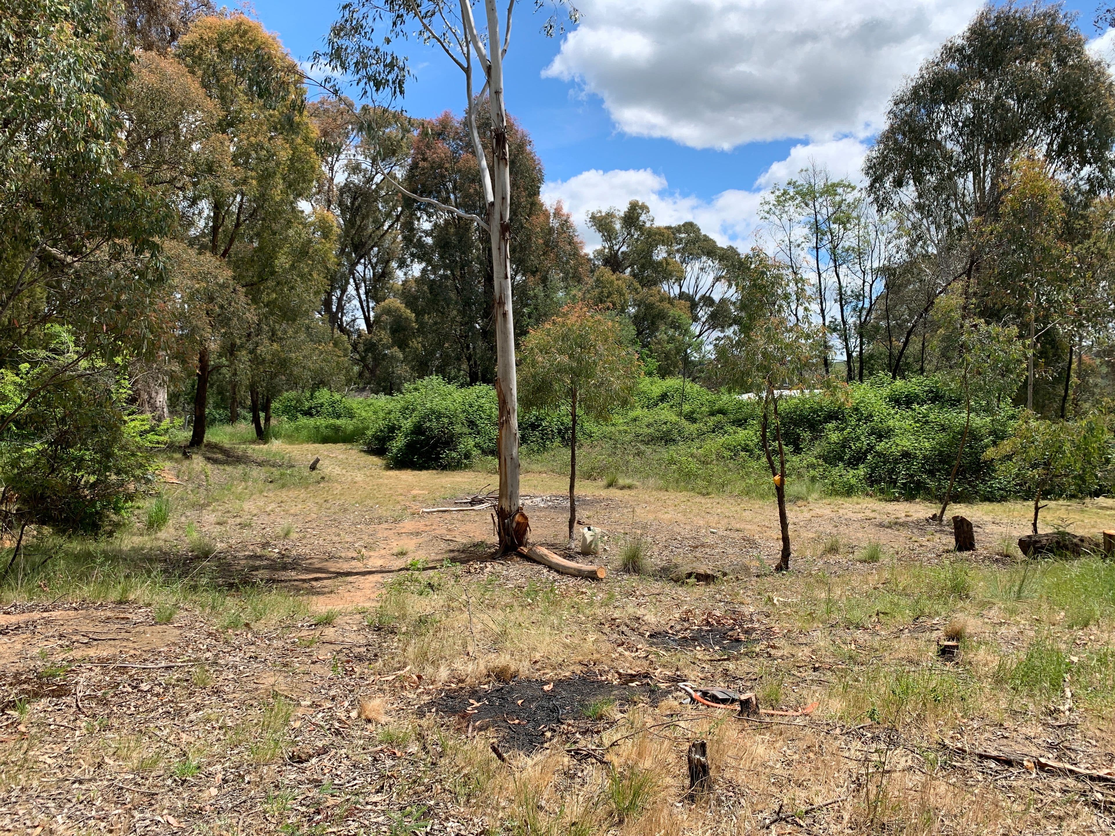 3 Reservoir Lane, Tumbarumba NSW 2653, Tumbarumba - Thumbnail 5