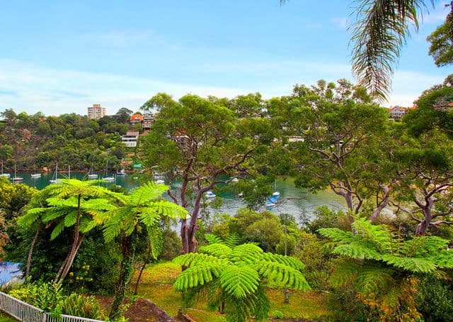 6 Rickard Avenue, MOSMAN NSW 2088, Mosman - Thumbnail 5