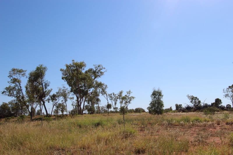 32 Brumby Drive, Charleville QLD 4470, Charleville - Thumbnail 3