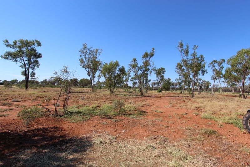 32 Brumby Drive, Charleville QLD 4470, Charleville - Thumbnail 4