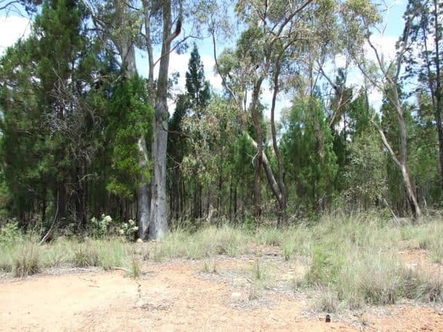 8 Solar Place, COONABARABRAN NSW 2357, Coonabarabran - Thumbnail 3