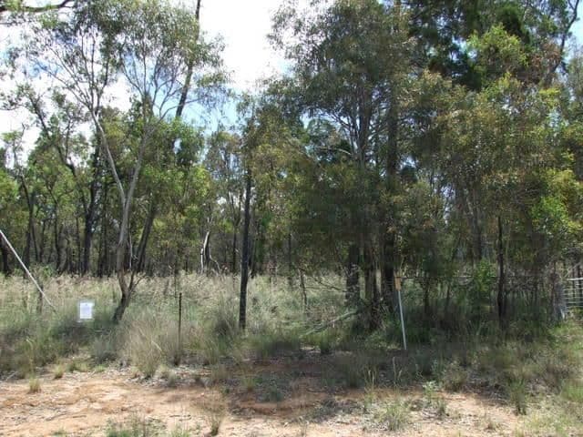 8 Solar Place, COONABARABRAN NSW 2357, Coonabarabran - Thumbnail 5