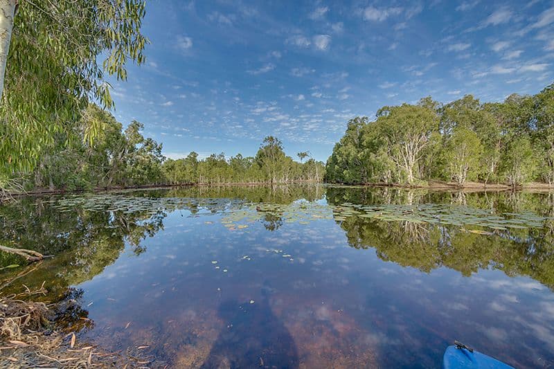 183 Coorooman Creek Road, Cawarral QLD 4702, Cawarral - Thumbnail 3