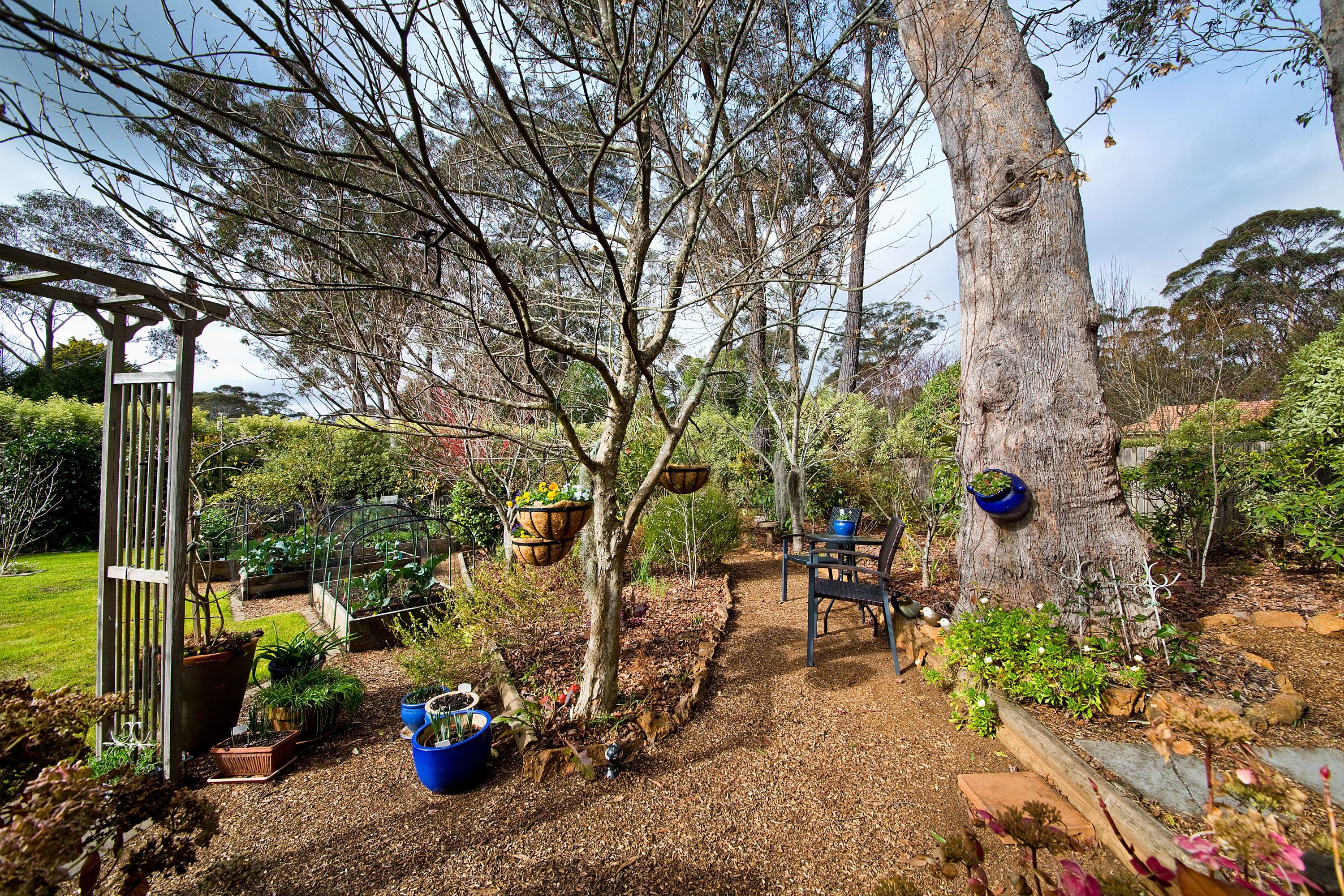 101 Evans Lookout Road, Blackheath - Thumbnail 8